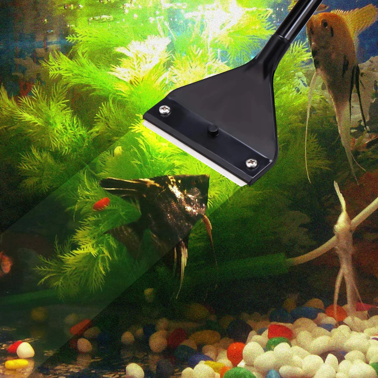 Coolty Grattoir pour Aquarium 66cm Acier Inoxydable Lames de Rechange 10pcs