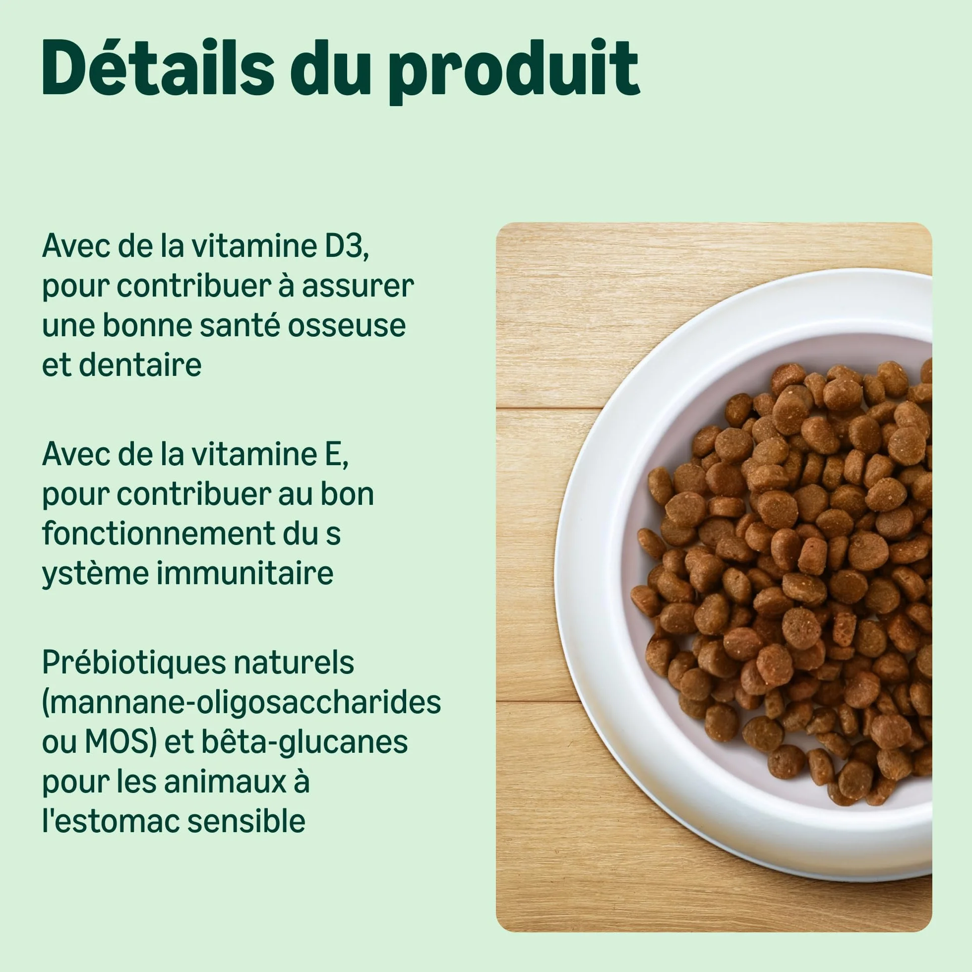 Amazon Complete Croquettes pour chats adultes au Saumon & riz, 10 kg