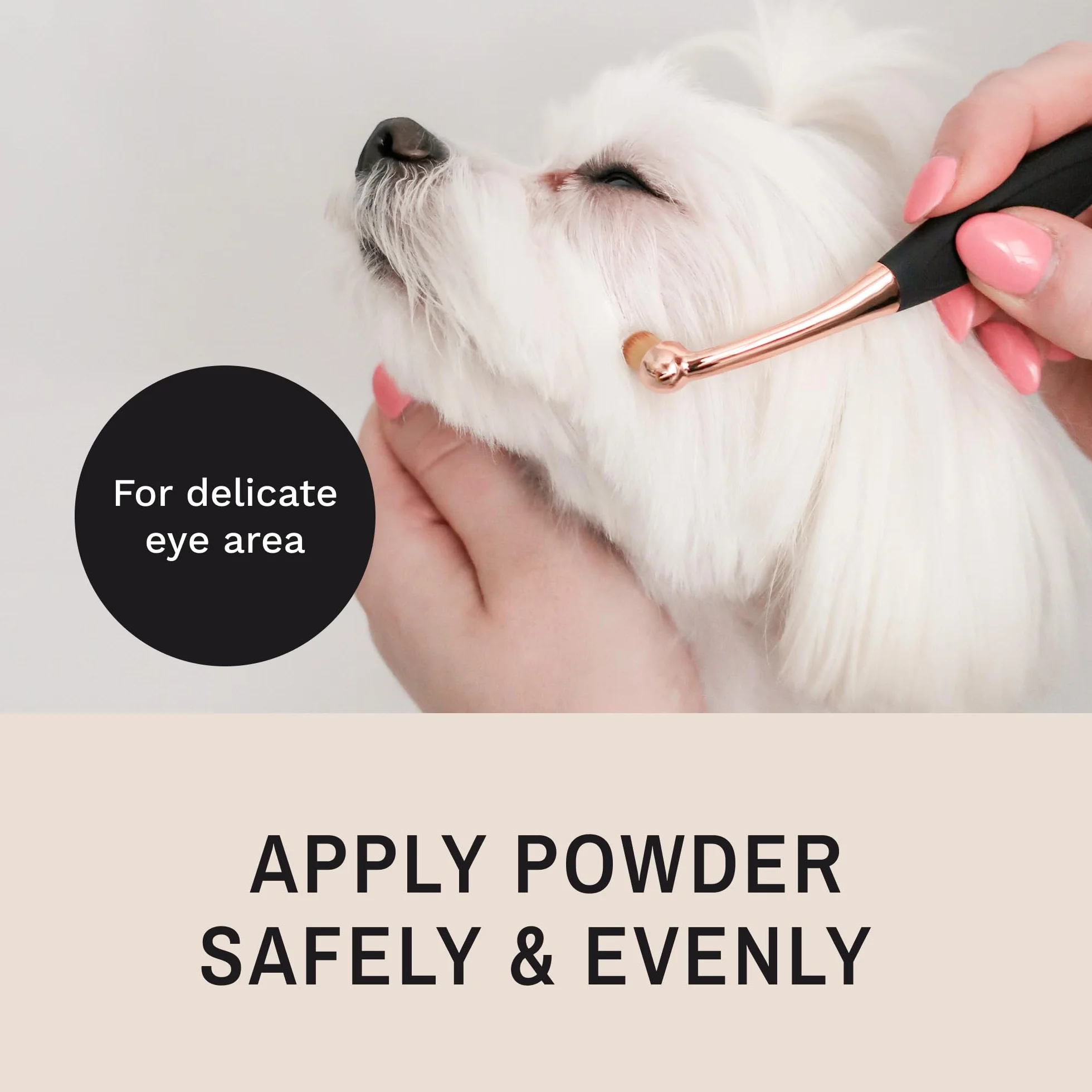Eye Envy Brosse applicatrice ProPowder pour chiens et chats - Poudre Tear Stain - Cheveux fibres superfines lavables
