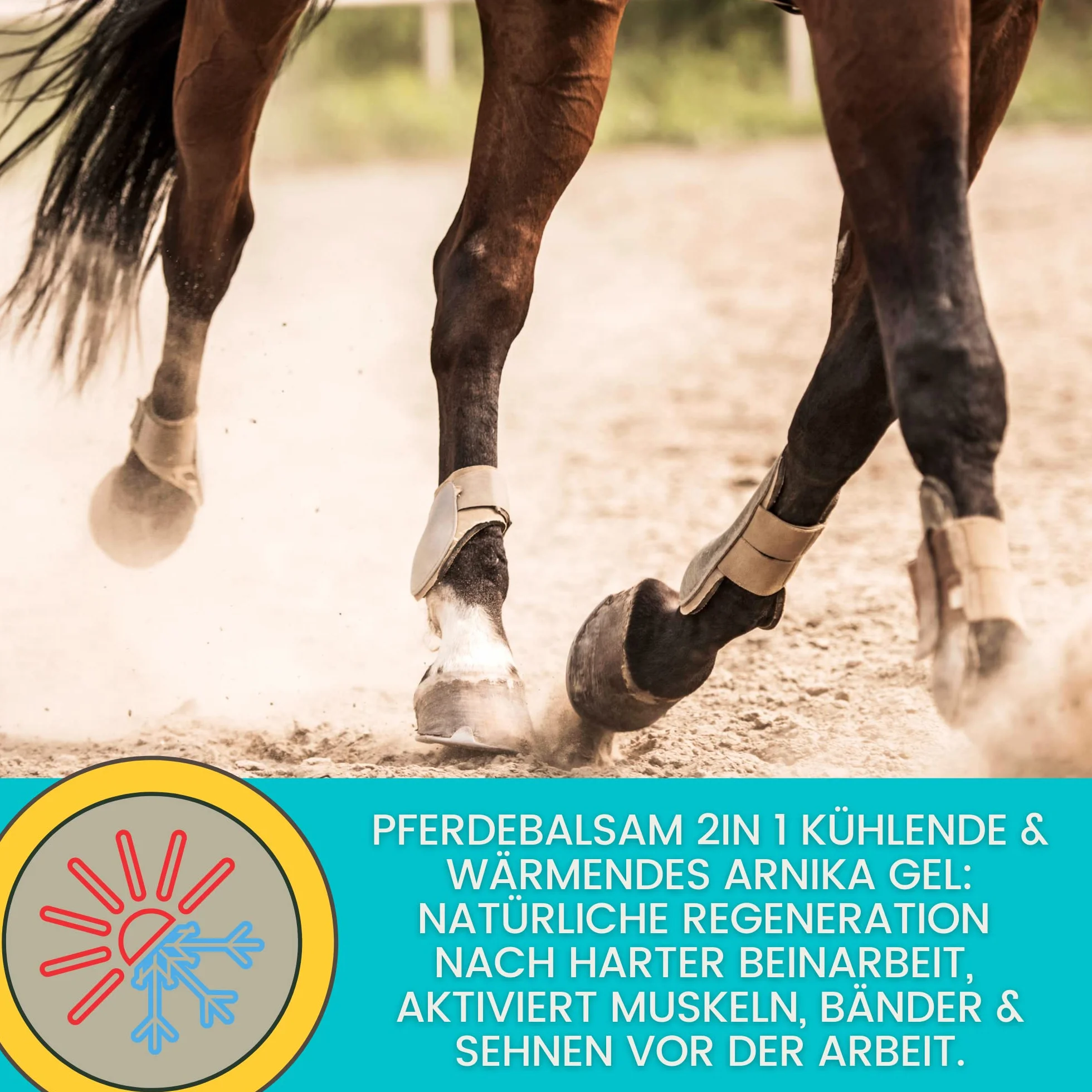 Baume de cheval rafraîchissant 500ml Gel à l'arnica Gel extra fort I Horse Balm Tendons, ligaments & muscles I Pommade pour chevaux à l'arnica Crème Gel de massage pour les muscles pour cheval chien
