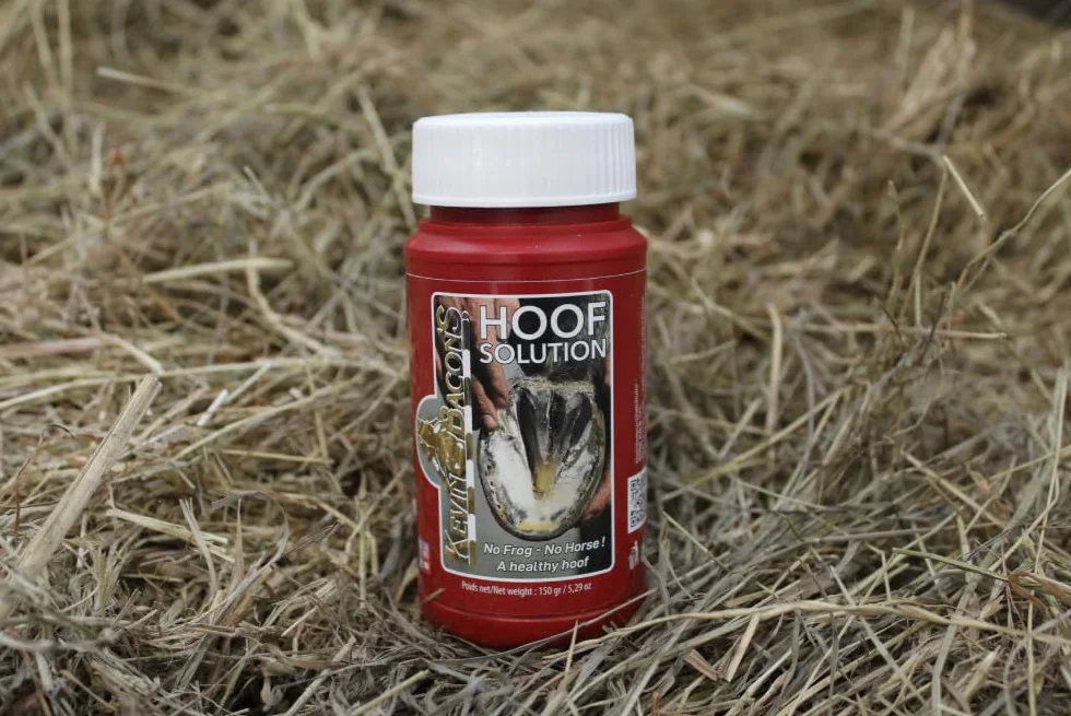 Solution pour Sabots Kevin Bacon 150 g avec Pinceau intégré