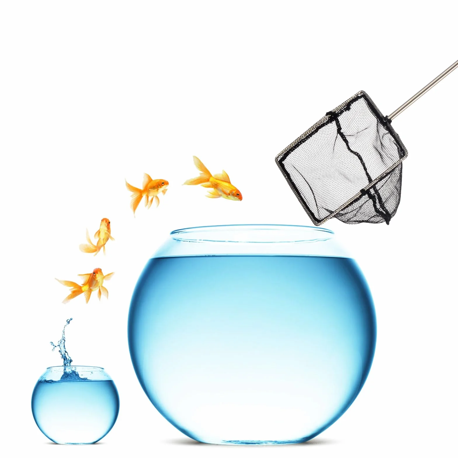 Epuisette Aquarium avec Manche Télescopique en Acier Inoxydable, Épuisette Aquarium pour Attraper Les Petits Poissons et Crevettes et Nettoyer L'aquarium, Extensible 31-61cm
