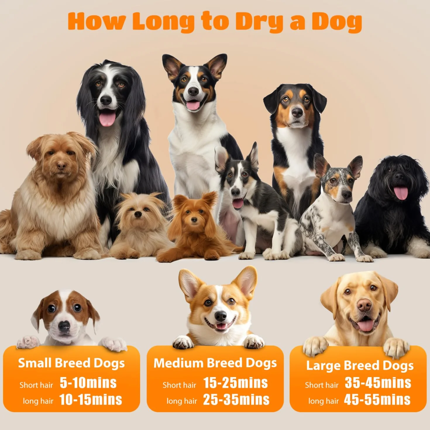 Nobleza Séchoir Professionnel pour Chiens et Animaux de Compagnie avec 4 Embouts, Vitesse/Température Réglables, Tuyau et Brosse Inclus, Faible Bruit