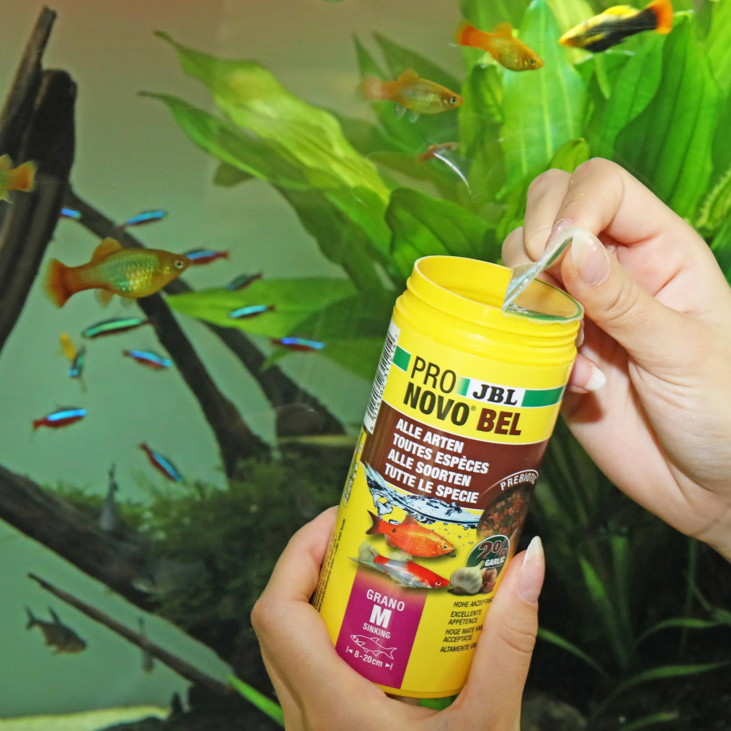 JBL PRONOVO BEL GRANO Aliment de Base Granulés pour Poissons d'Aquarium 8-20 cm Doseur à clic Taille M 250 ml