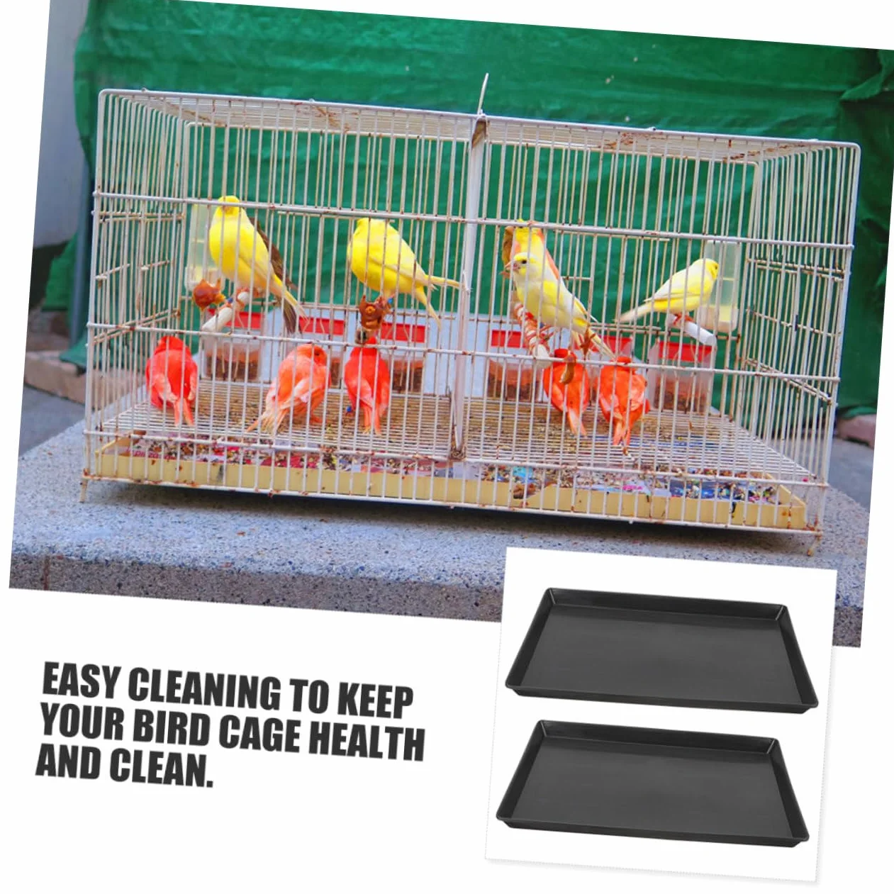 Plateau Plastique Étanche Remplacement Fond de Cage pour Chien Oiseau