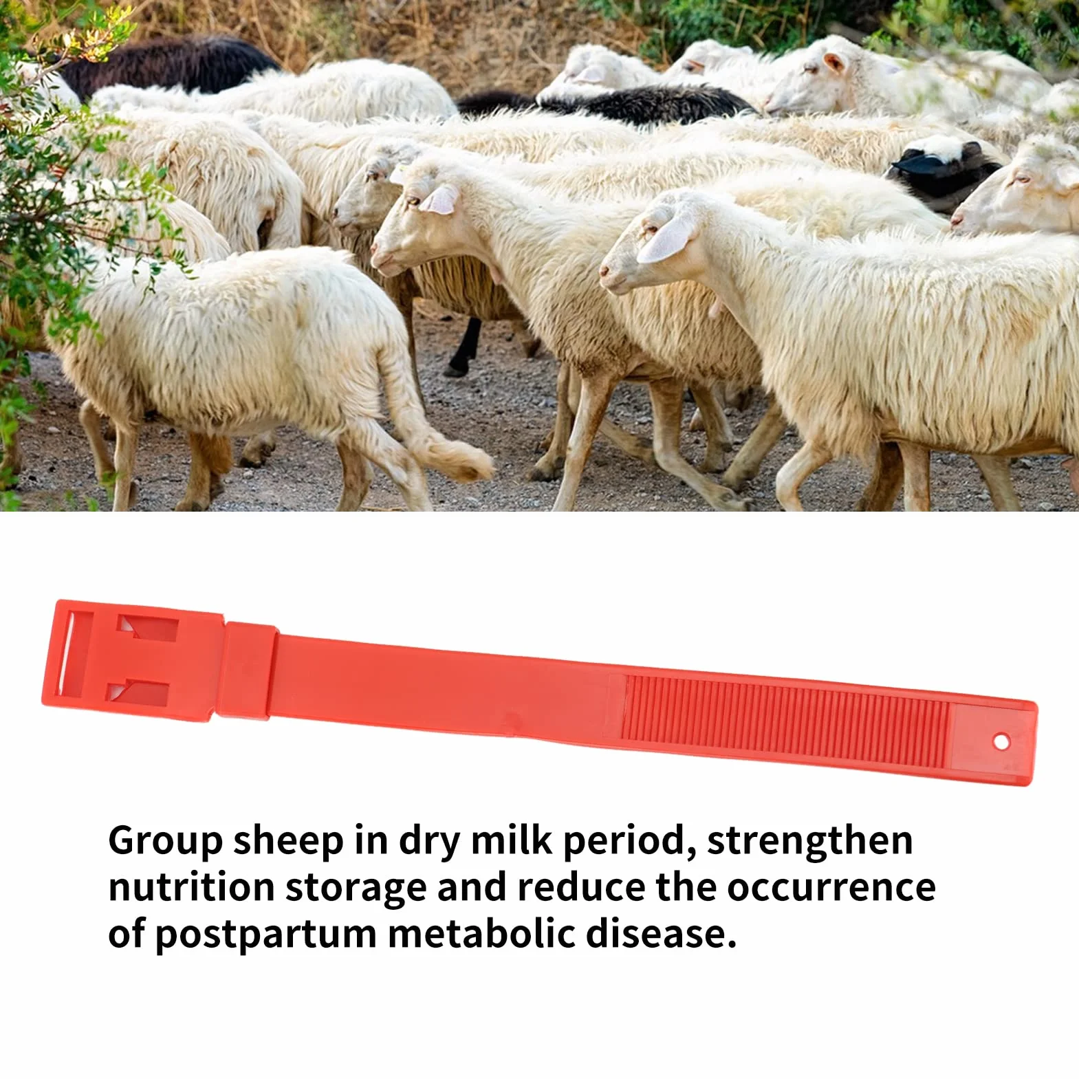 Colliers d'Identification pour Chèvres et Moutons, Bandes de Marquage de Bétail, Rouge, 36 cm, 10 Pièces, pour Petits Animaux de Ferme