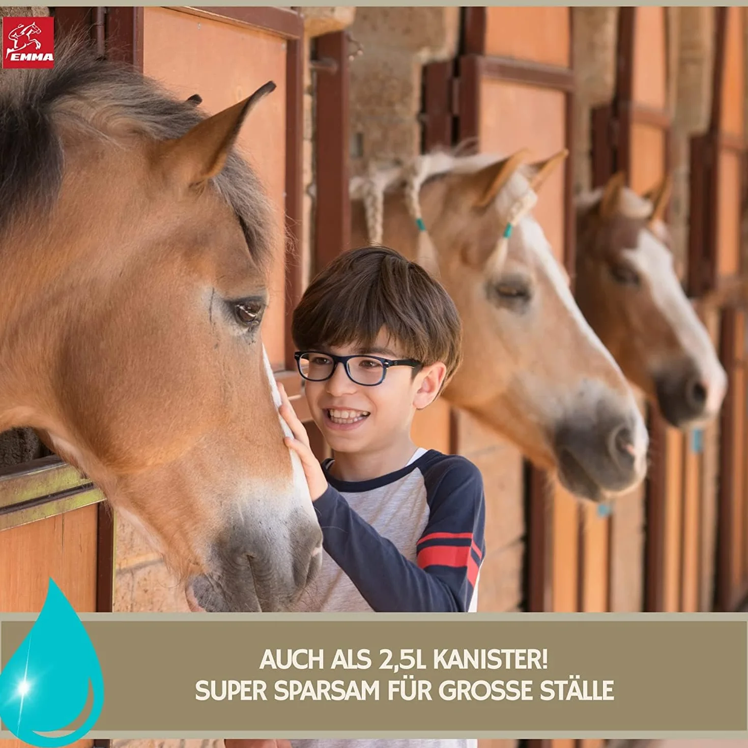 EMMA Shampoing pour chevaux I Kit d'entretien poney I Shampoing chevaux Fourrure Crinière Queue Rose & Parfum I Graisse de sabot pour chevaux rose I Baume pour sabots pour chevaux I Cadeau pour
