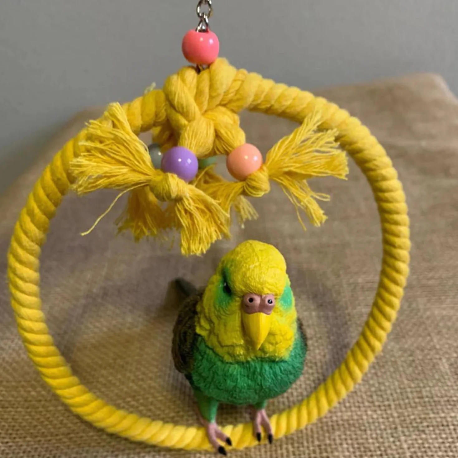 Balançoire pour Oiseaux en Corde de Coton, Anneau pour Perruche Calopsitte Canari