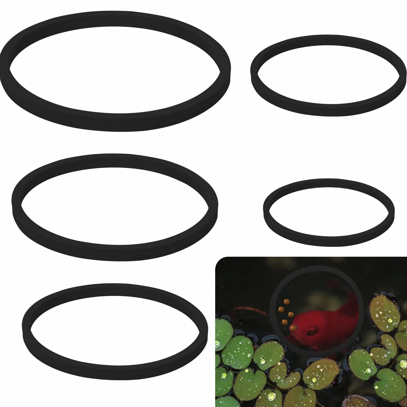 PEUTIER 5 Pièces Anneaux Flottantes Aquarium Mousse Anneau Alimentation Poisson Noir