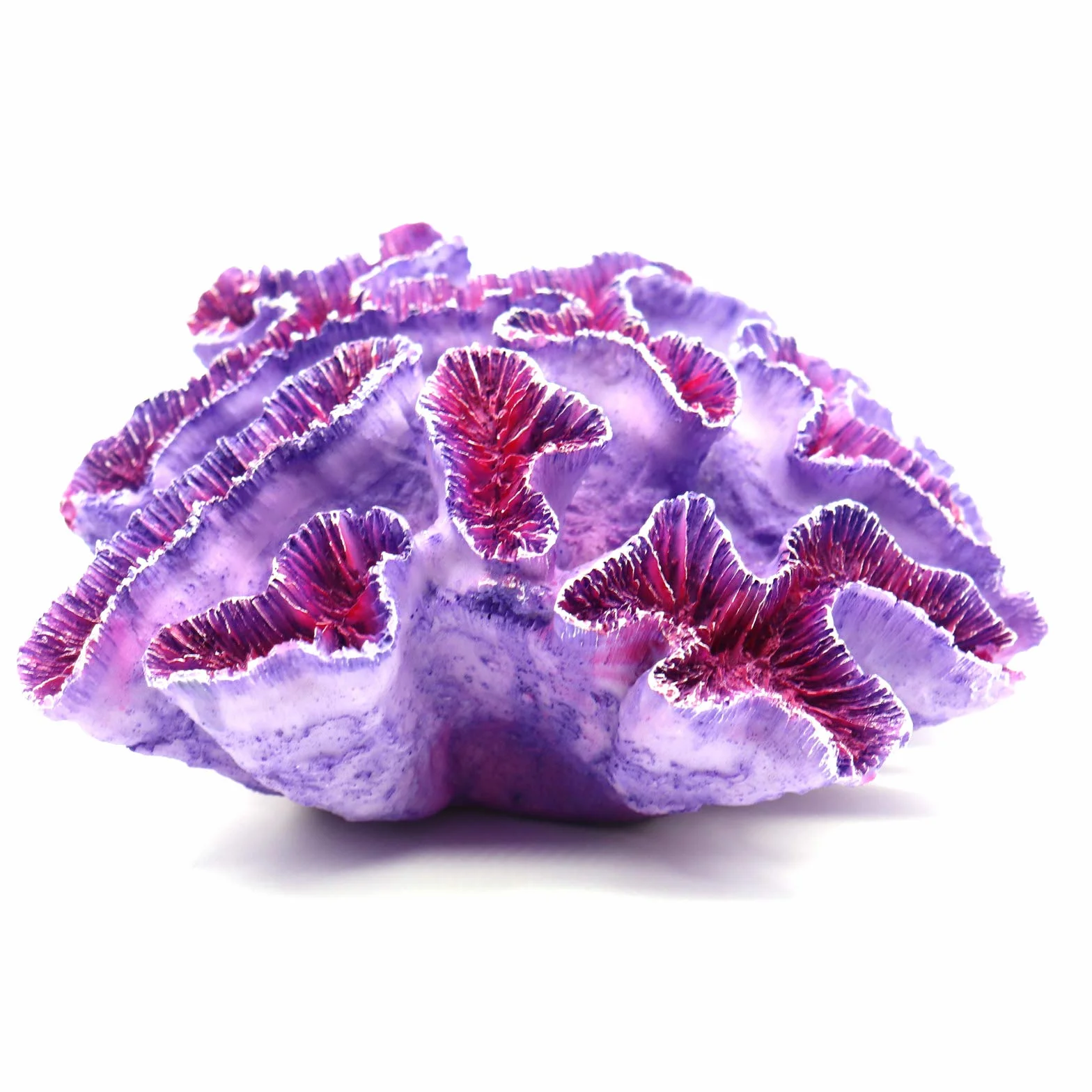 Besimple Ornements coralliens pour Aquarium Violet