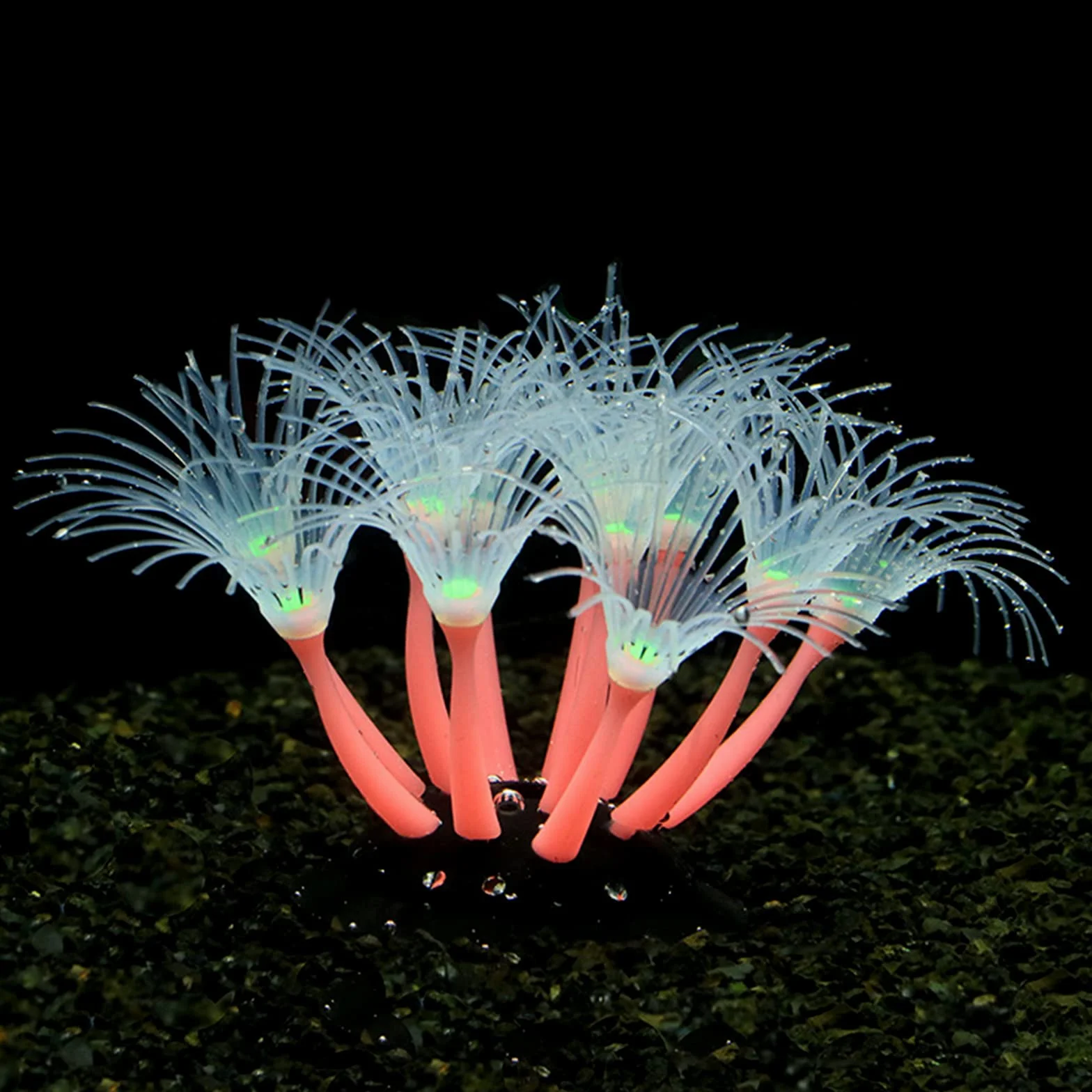Corail artificiel lumineux en silicone pour aquarium, phosphorescent