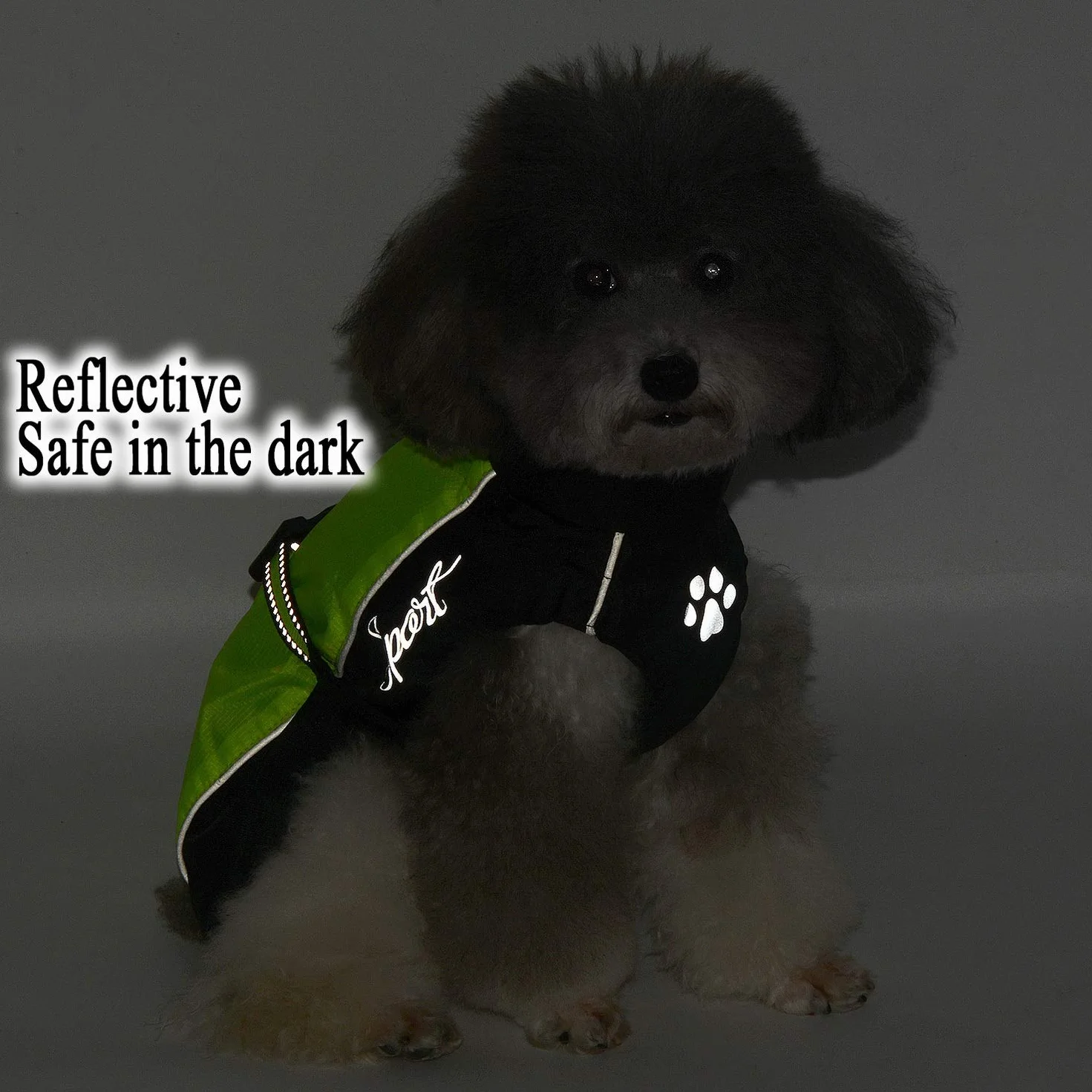 Manteau Imperméable Réfléchissant pour Chien Chat Veste Sécurité Coupe-Vent Légère Vert M