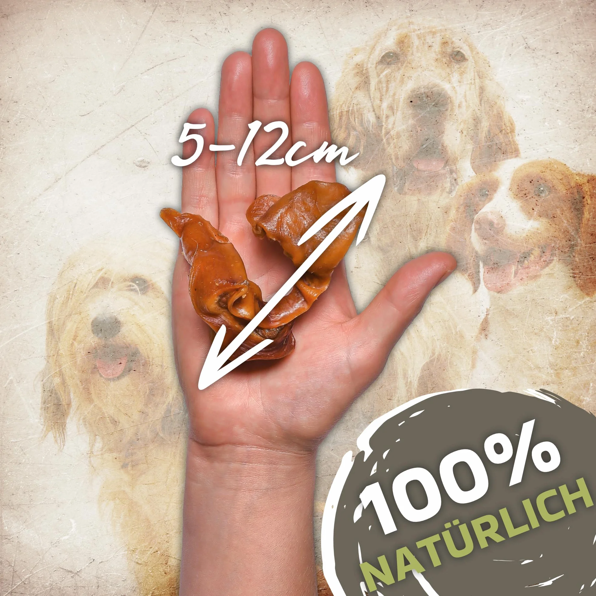 Oreilles de porc naturelles en bandes 1 kg | Idéal pour les petits chiens | Bandes d'oreilles de porc saines comme article à mâcher pour votre chien