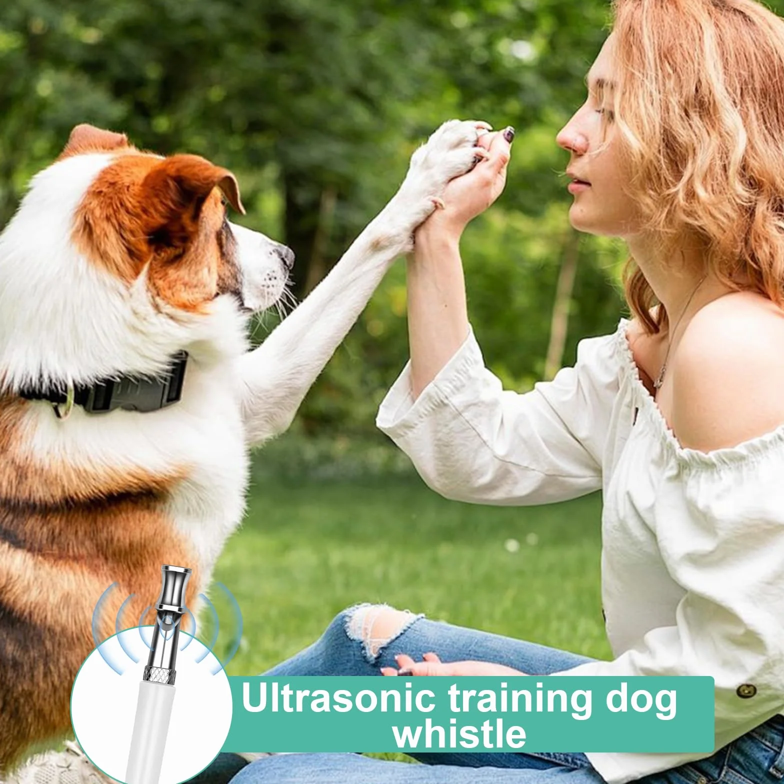 Sifflet Ultrason Chien Anti Aboiement avec 2 Longes, Fort et Longue Portée, Noir Blanc