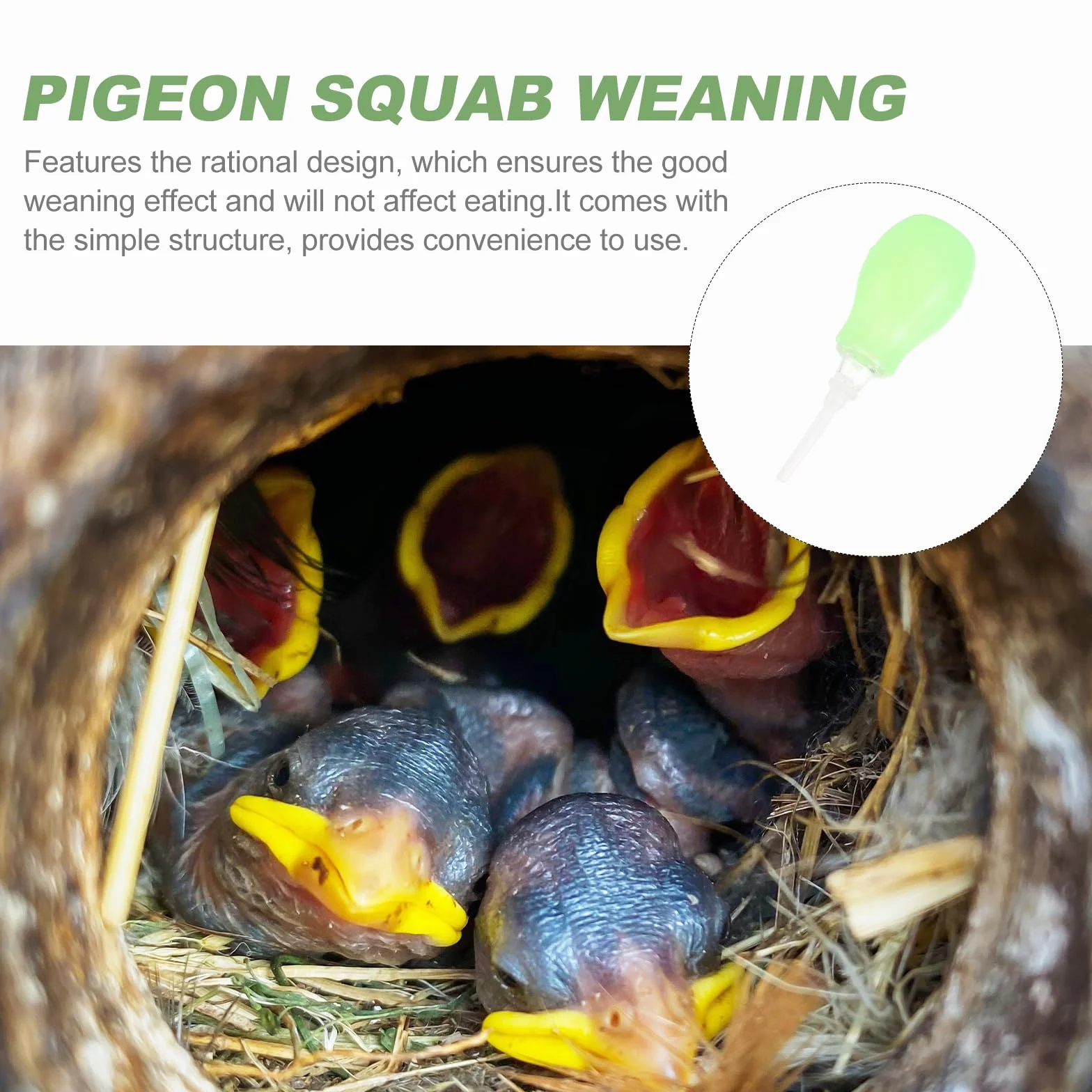 POPETPOP Seringue d'alimentation pour oiseaux pipettes en plastique