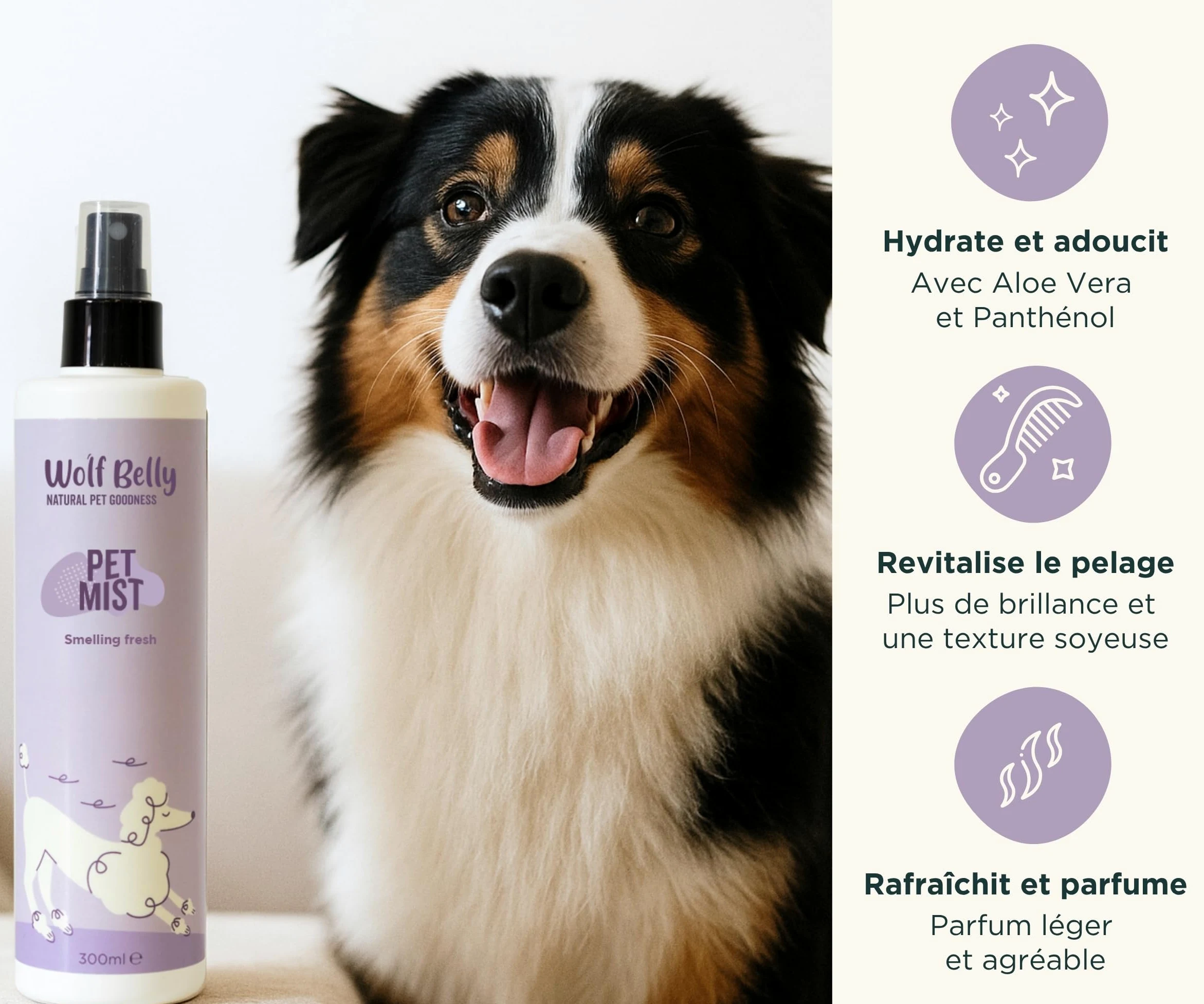 Wolf Belly - Pack Hygiène et Soin Complet pour Chiens et Chats | Shampoing + Après shampoing + Brume + Baume Coussinets | Aloe Vera 99%, Végan et Hypoallergénique - Fabriqué en UE
