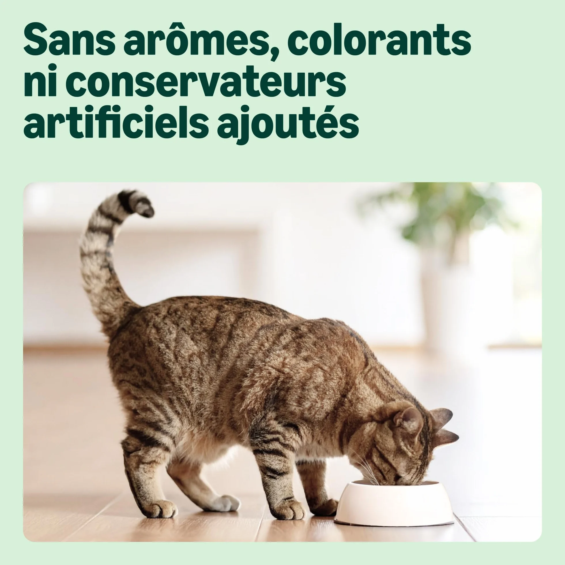by Amazon Croquettes complètes pour Chats Adultes au Thon et Hareng,10kg, Lot de 1