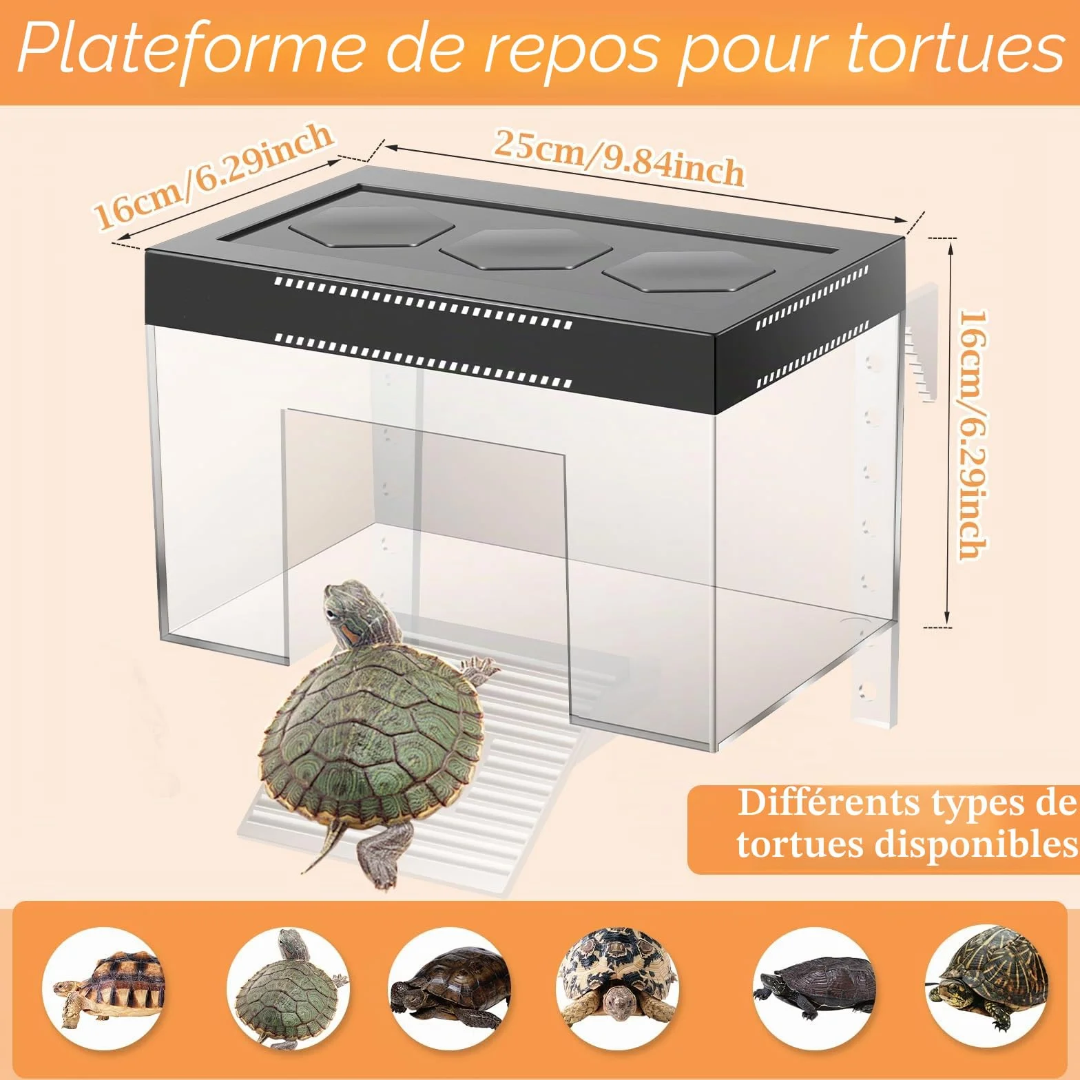 Plateforme de repos suspendue pour tortues à hauteur réglable 25×16×16 cm PC transparent enclos aquarium
