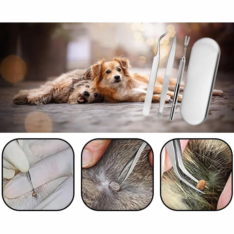 Sarini Ensemble d'outils de Suppression de tiques en Acier Inoxydable de 4 pièces,1 Pince à épiler pour enlever Les tiques， 1 pièce de râteau Tranchant,d'élimination des tiques pour Chiens et Chats