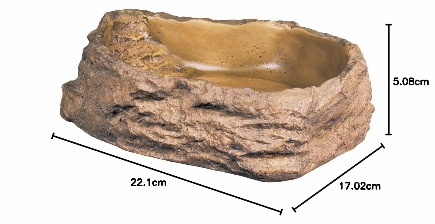 Exoterra Bol Reptile Grand Modèle pour Reptiles et Amphibiens