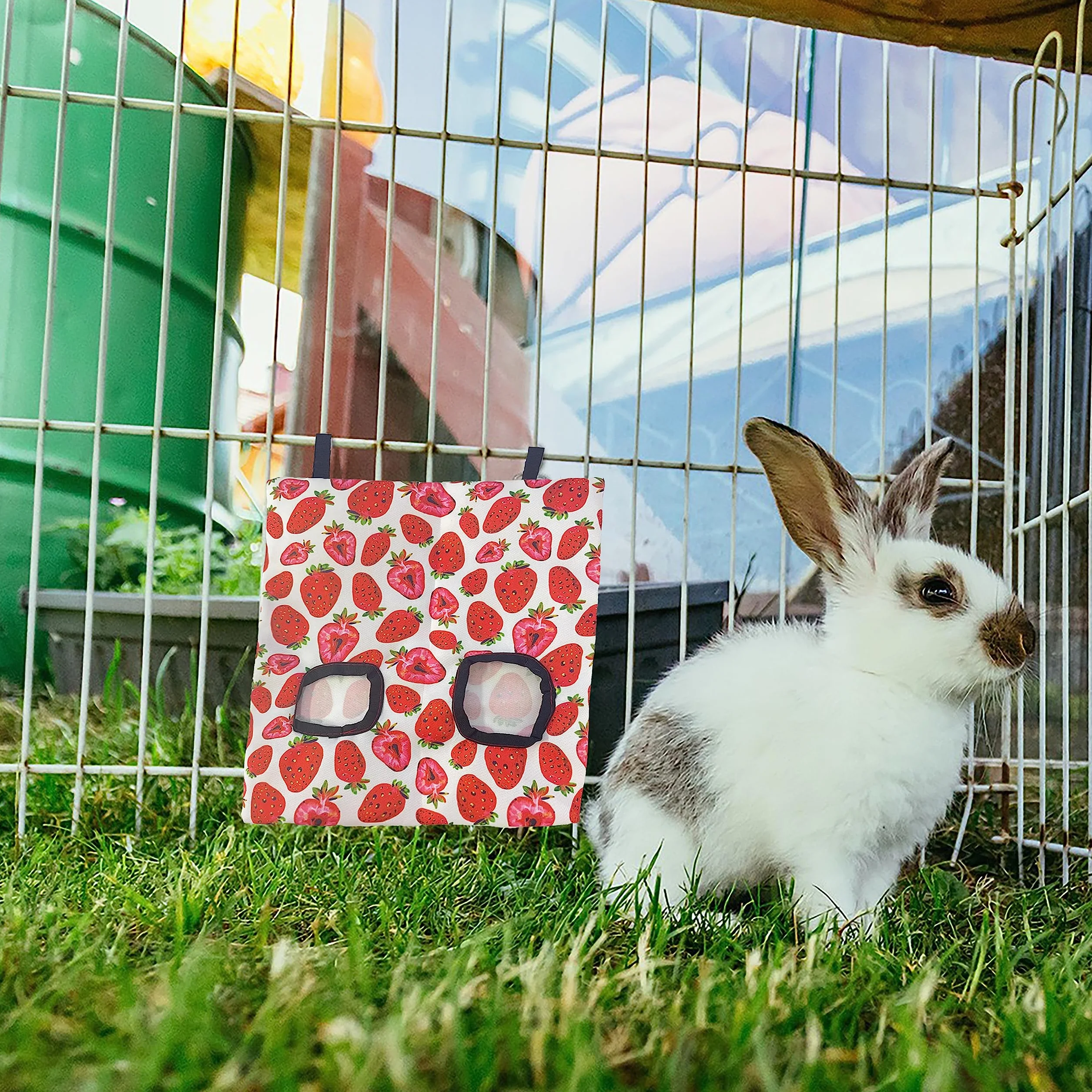 Sacs de Nourriture pour Animaux de Compagnie, Mangeoire à Foin Suspendu pour Lapins et Chinchillas