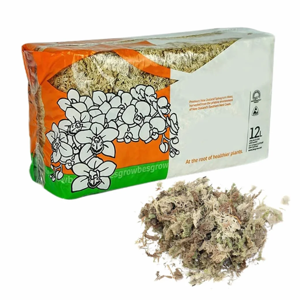 Sphaigne Mousse pour Reptiles 150 g séchée Terrarium literie