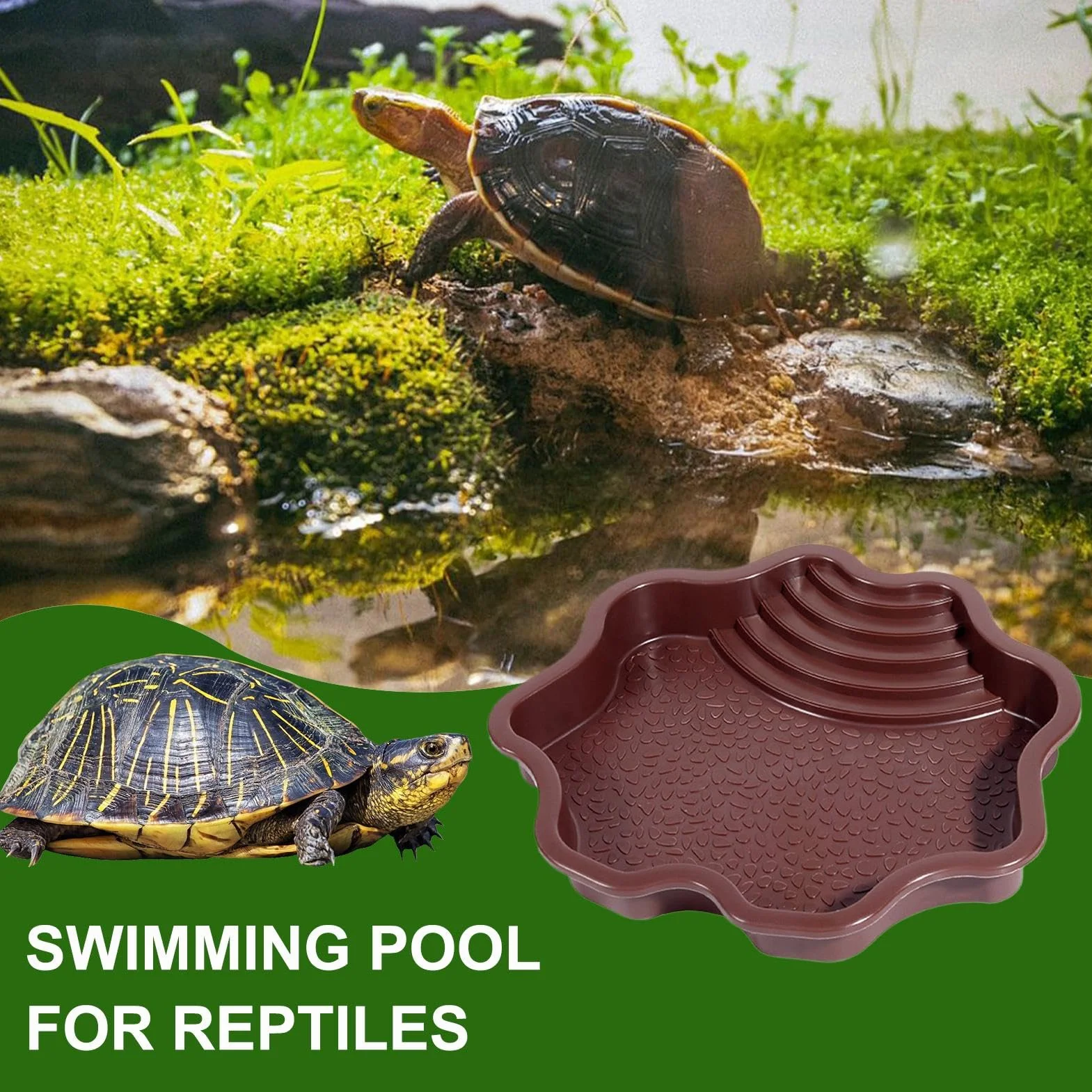 Piscine de baignade pour reptiles avec échelle | Accessoires habitat pour salamandre, dragon barbu, lézard