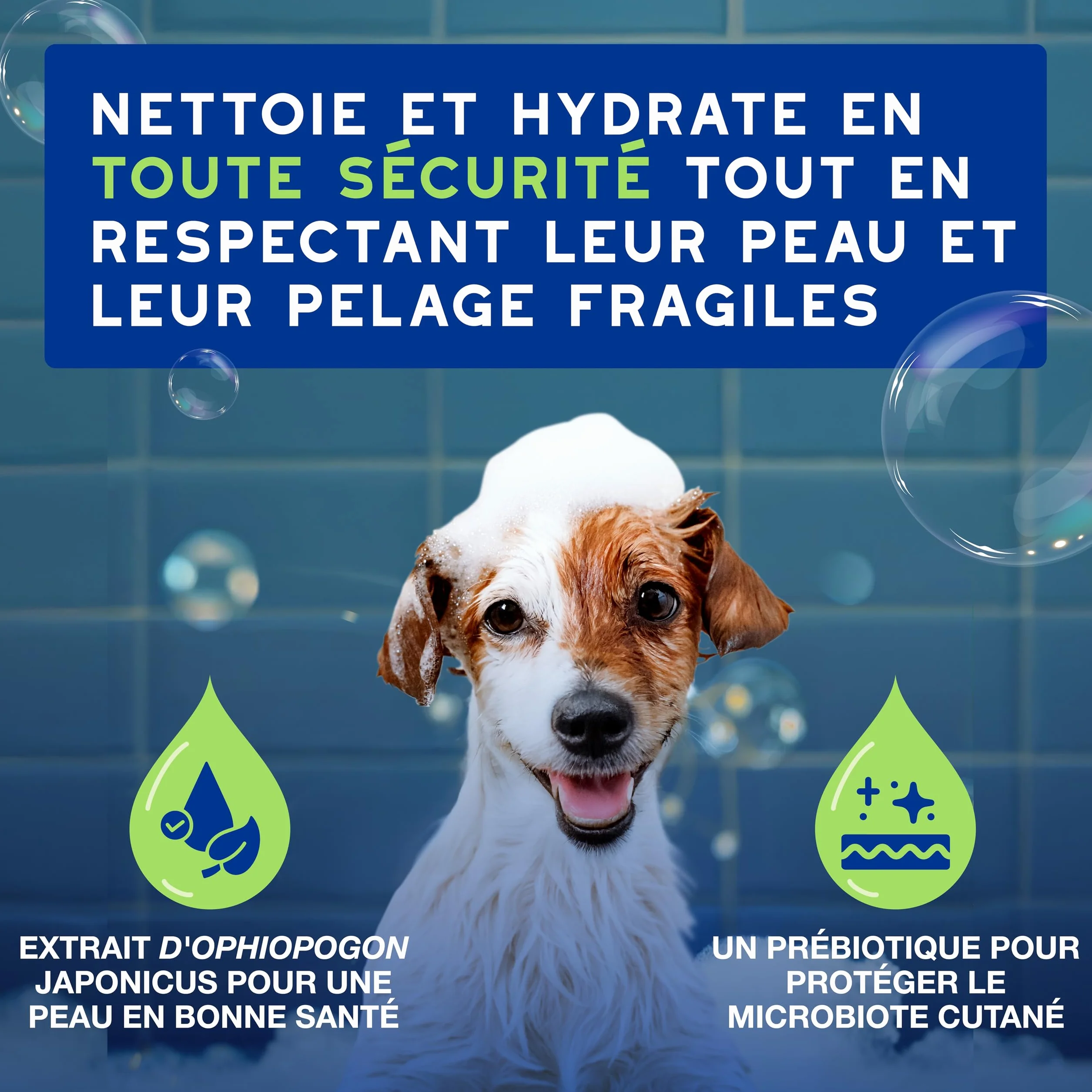 DOUXO Skin & Coat Spa - Ultra-Safe Shampoing pour Chiot, 250mL, Nettoie et Hydrate la Peau Profondeur, Laisse Le Pelage Doux et éclatant, Formule respectueuse de la Peau.