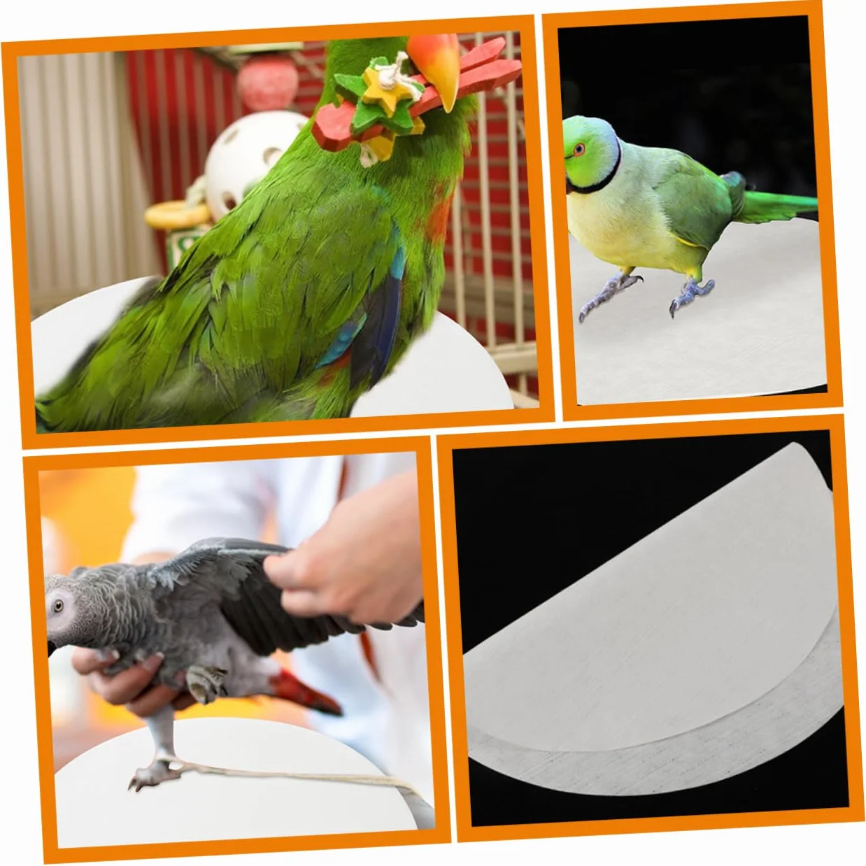 Toddmomy 100 Feuilles Coussins Absorbants pour Cage à Oiseaux Jetables Hygiéniques