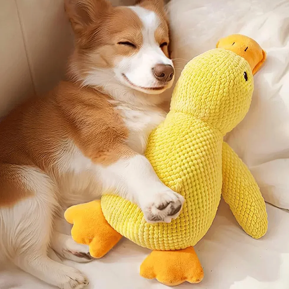 Grand Jouet en Peluche pour Chien 35 cm Canard couineur Doux et résistant