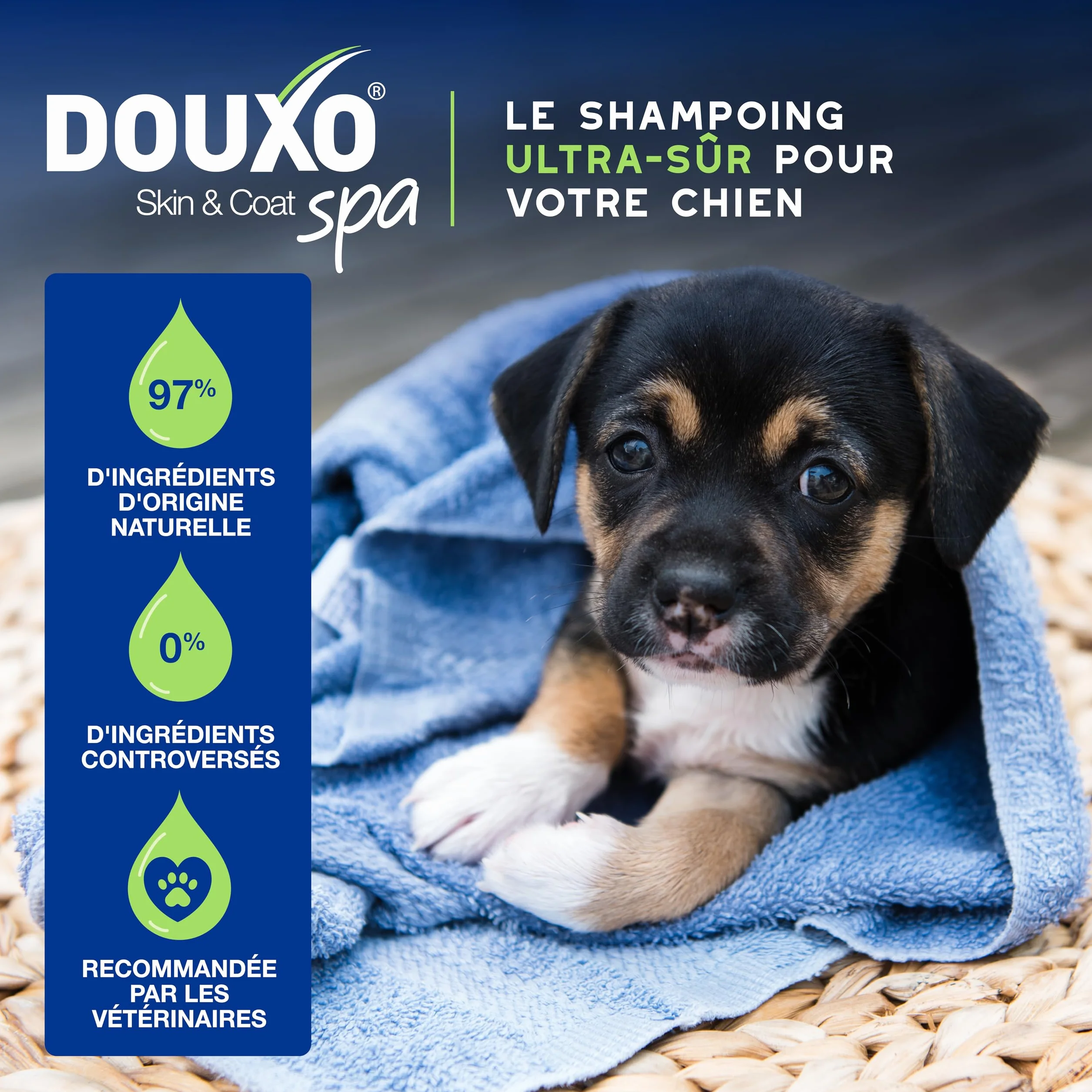 DOUXO Skin & Coat Spa - Ultra-Safe Shampoing pour Chiot, 250mL, Nettoie et Hydrate la Peau Profondeur, Laisse Le Pelage Doux et éclatant, Formule respectueuse de la Peau.