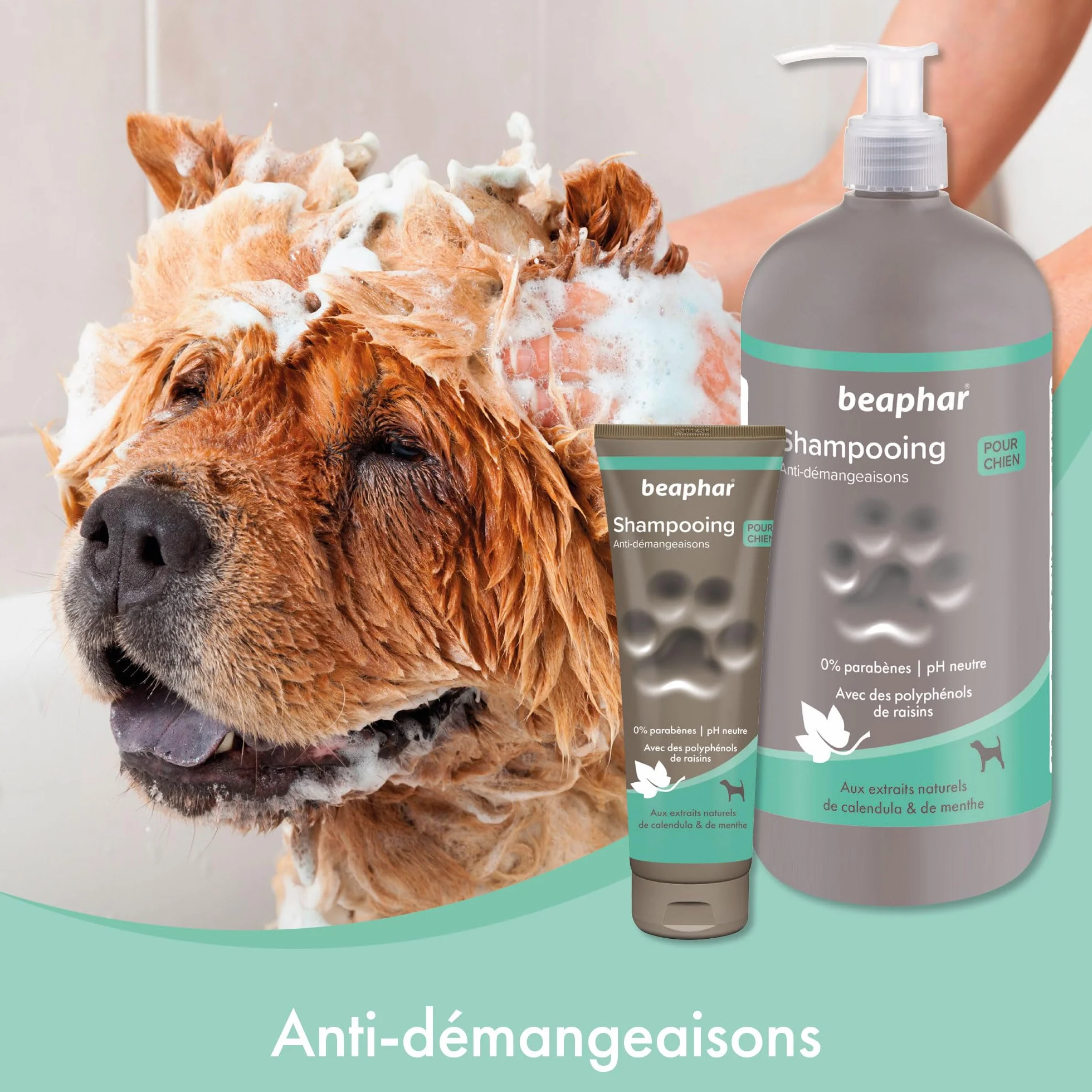 BEAPHAR – Shampoing Anti-démangeaisons pour chien – Extraits naturels de Calendula, de Menthe et du polyphénol de raisin – Apaise les démangeaisons et irritations – pH neutre et sans parben – 250ml