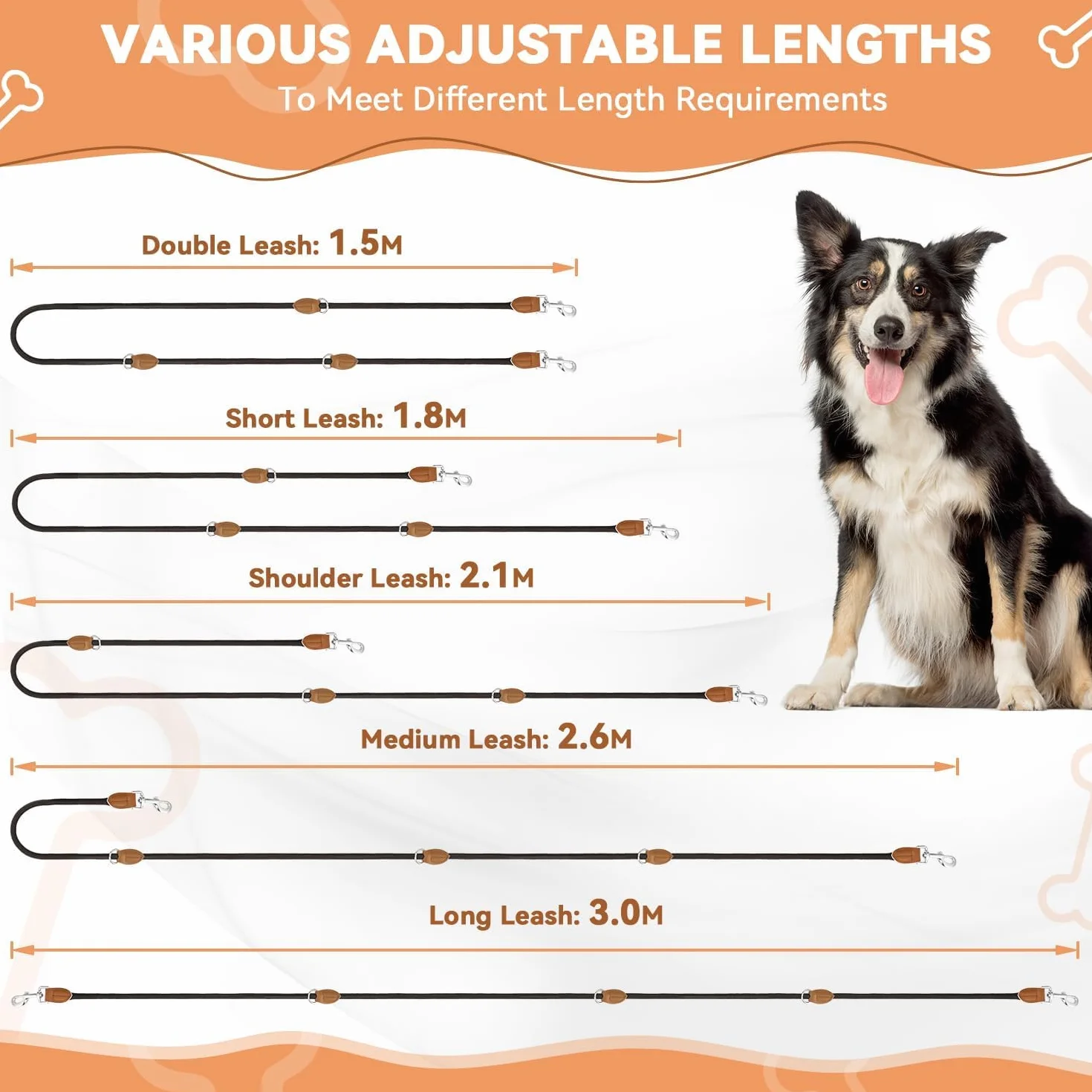 Laisse Réglable 3 m Multifonctionnelle 3 Points Robuste pour 2 Chiens, Longe pour Chien Petite à Grande Taille, Noir