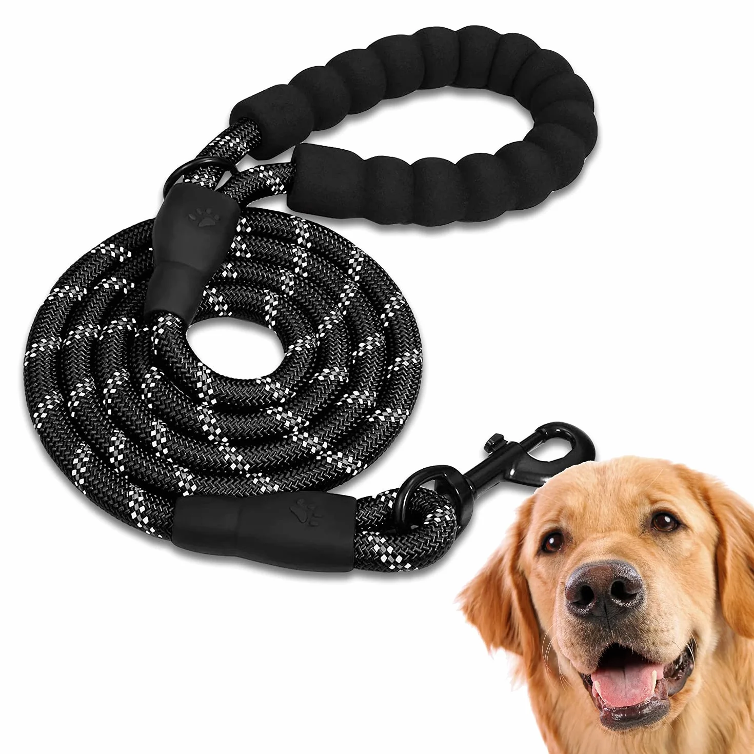 Laisse Chien Rembourrée Poignée Souple 1.5 M Noir EDIPETS