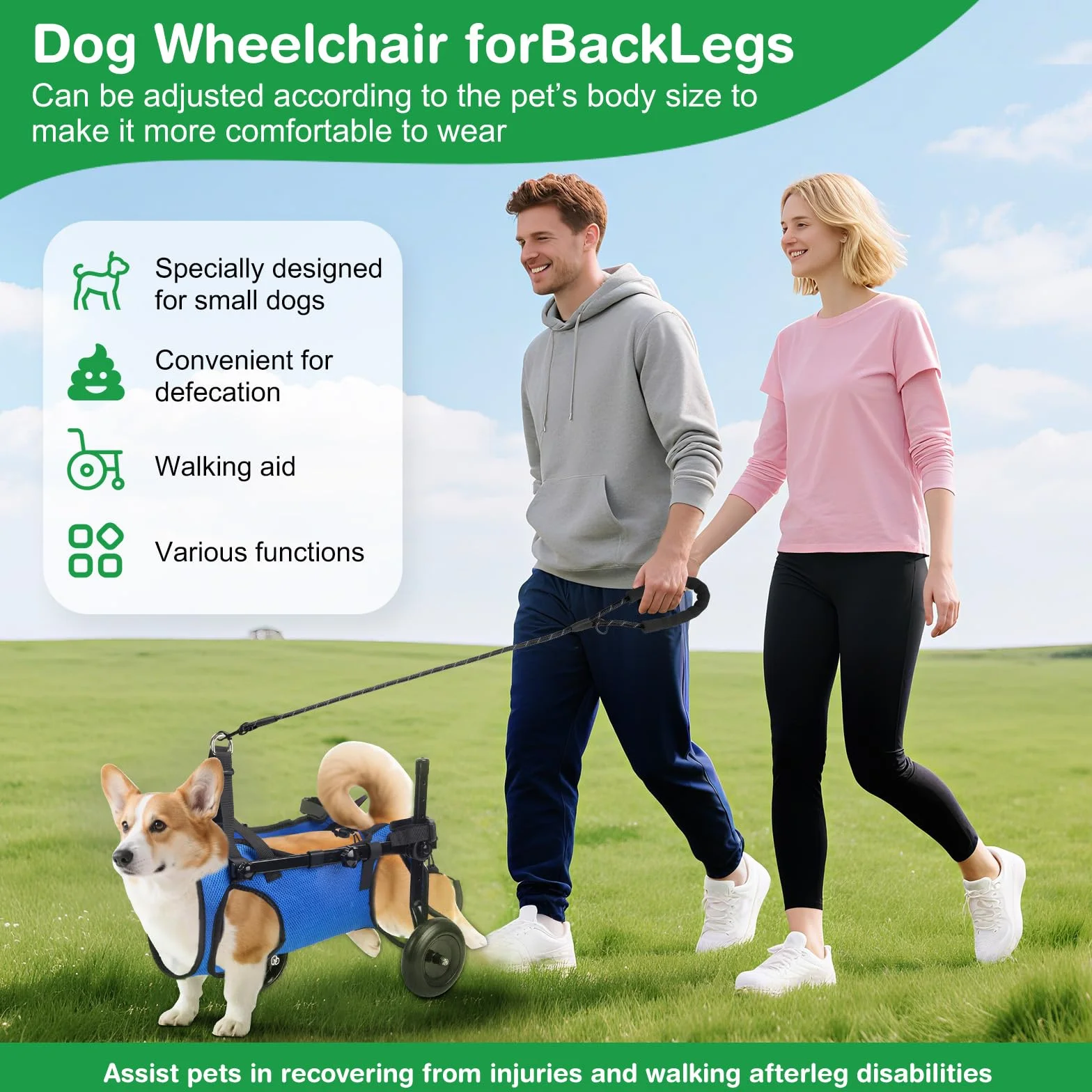 Fauteuil roulant réglable pour petits animaux de compagnie - Support jambe arrière pliable avec roues - Taille M