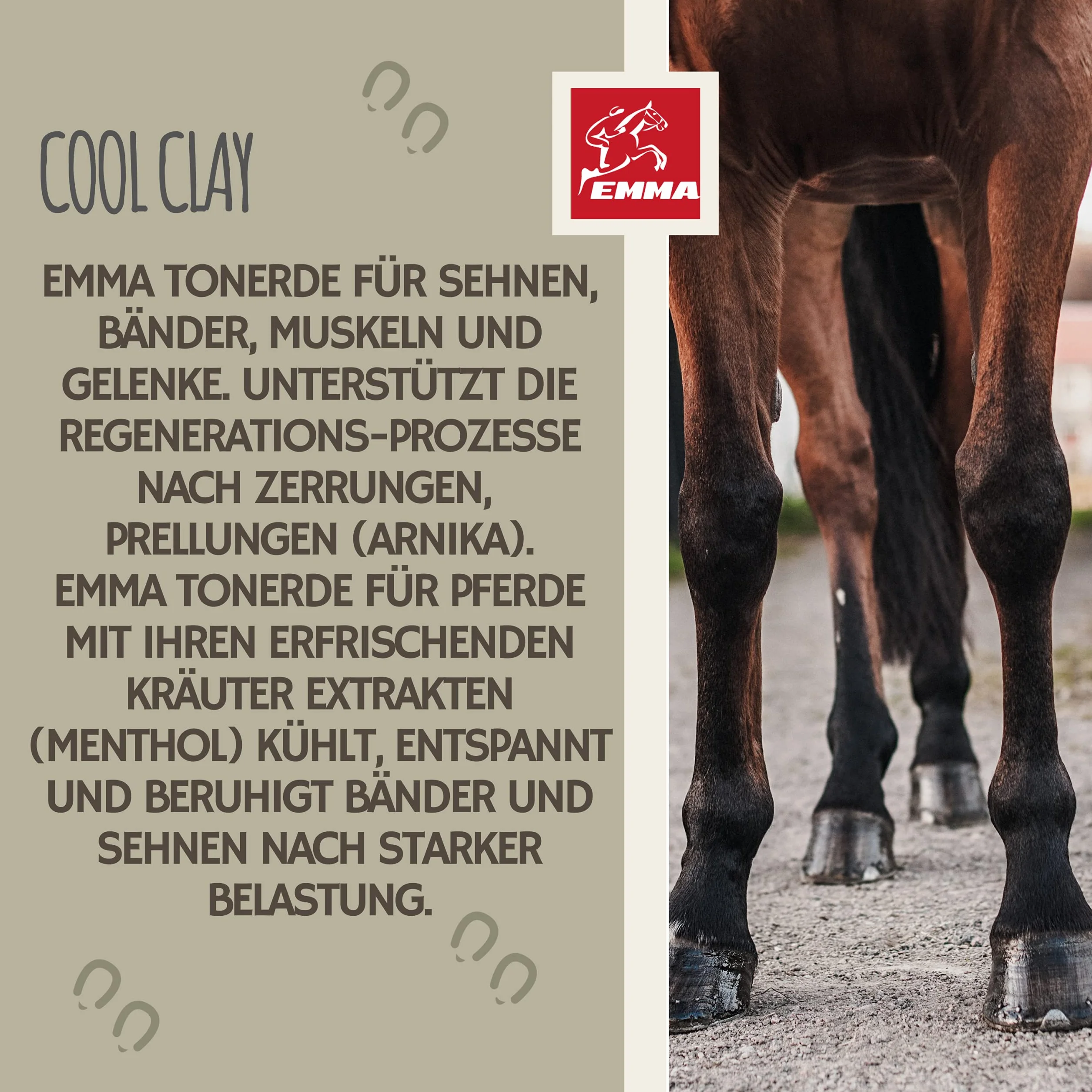Emma Argile pour Chevaux à l’Arnica 1,5 kg | Cataplasme Refroidissant Jambes & Tendons | Soin Naturel Muscles & Articulations | Pâte d’Argile pour Chevaux Contre Gonflements & Jambes Engorgées