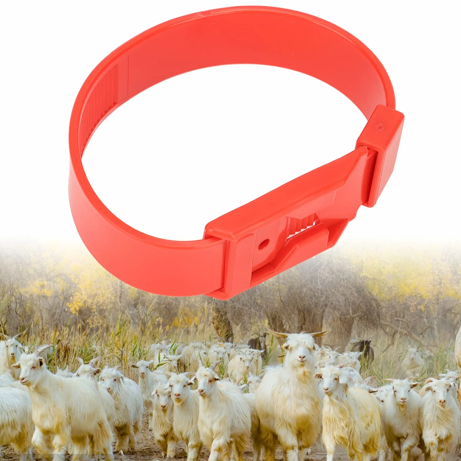 Colliers d'Identification pour Chèvres et Moutons, Bandes de Marquage de Bétail, Rouge, 36 cm, 10 Pièces, pour Petits Animaux de Ferme