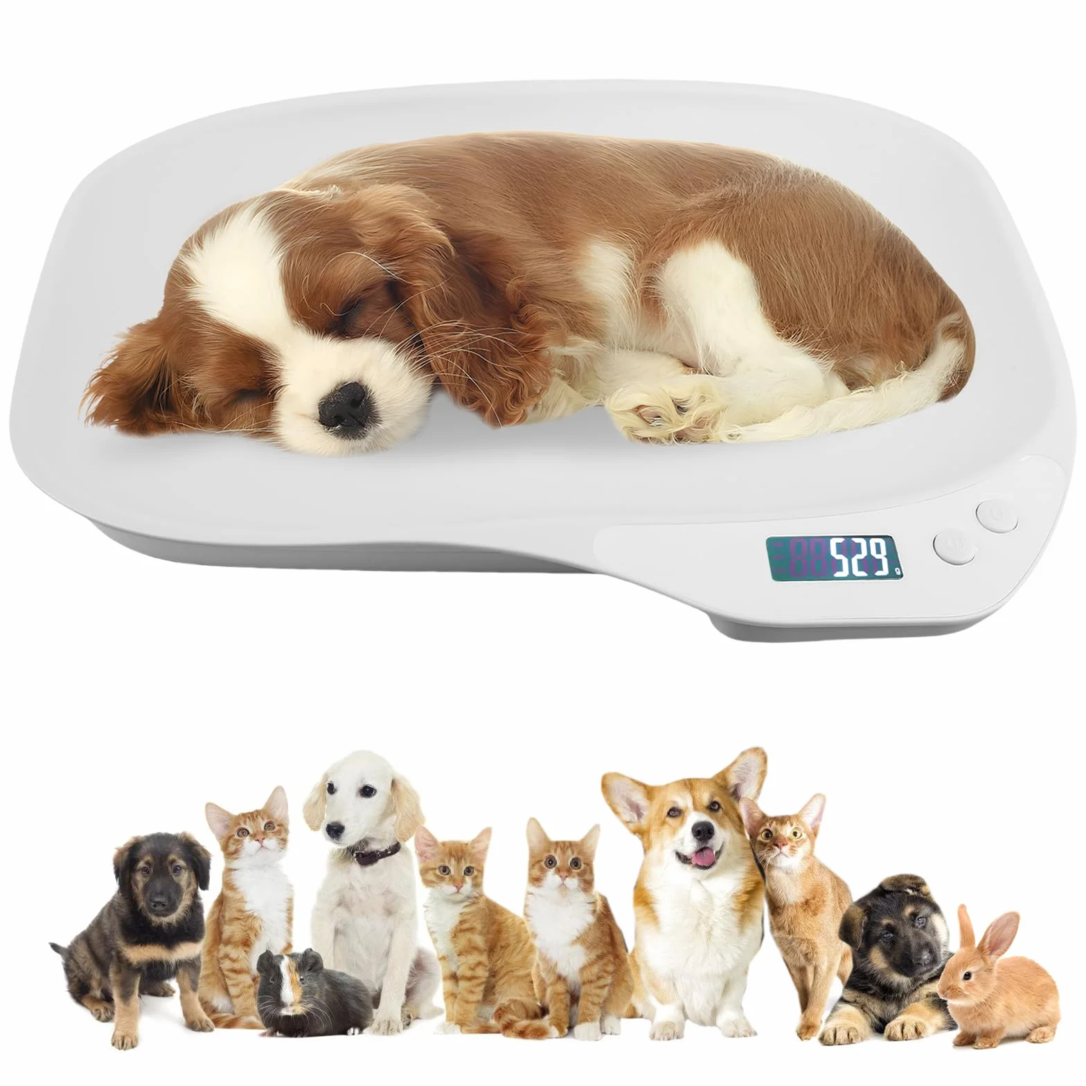 Balance numérique pour animaux de compagnie 15 kg (± 1 g) LCD 4 modes kg/oz/lb/ml 36 x 26 cm