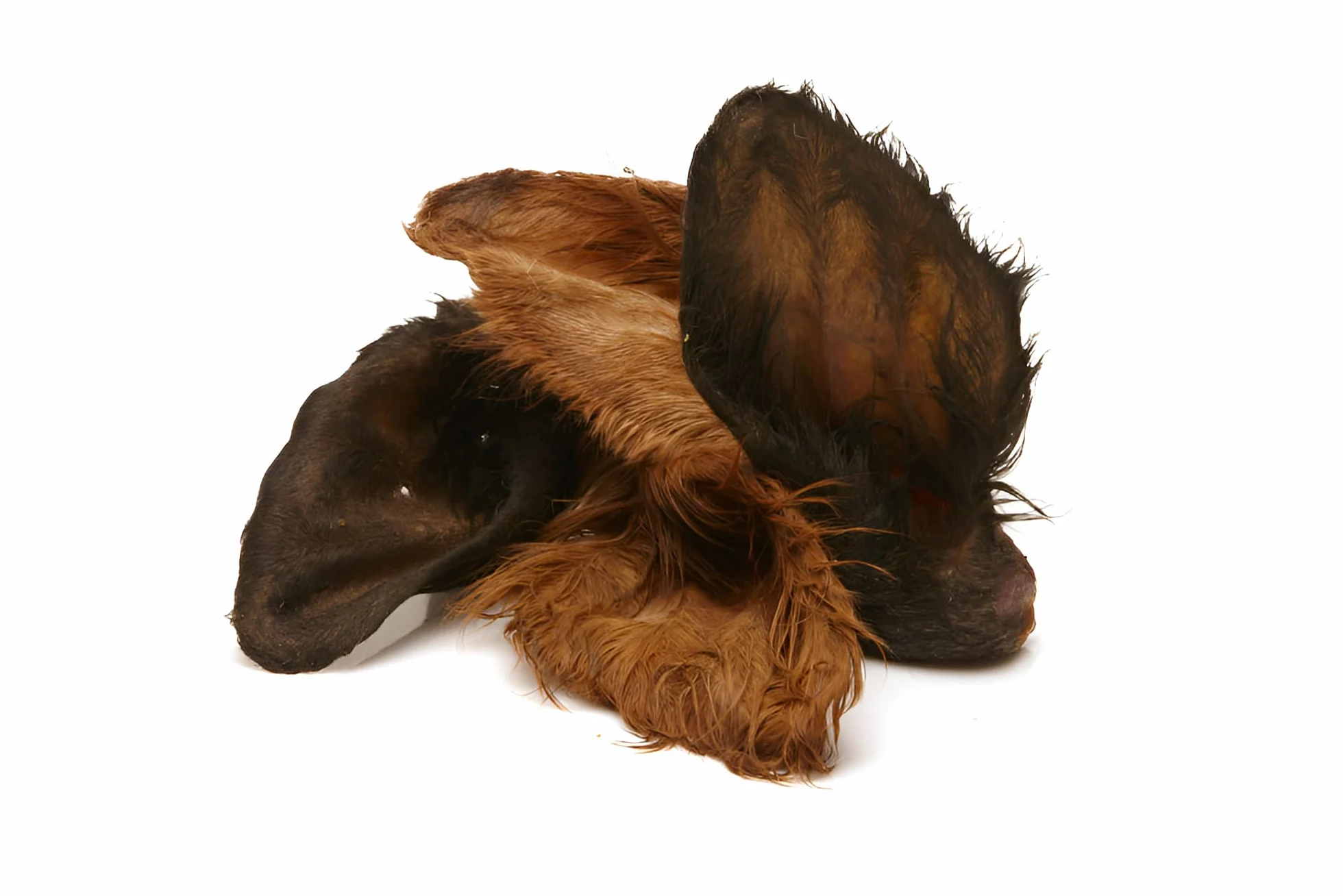 Frigera Oreilles avec Lobe et Poils 25pcs 1250g – Friandise Naturelle pour Chiens, sans Gluten et sans céréales, mâchage Durable