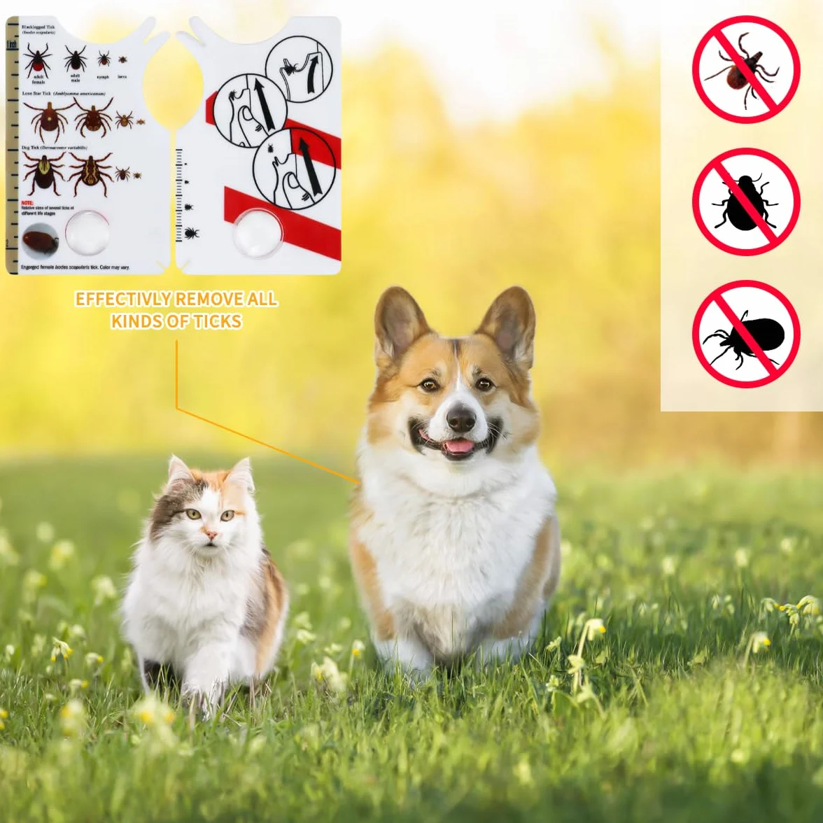 Portable Tire-Tique avec Loupe, Carte de Retrait de Tiques pour Animaux et Humains, 2 Pièces