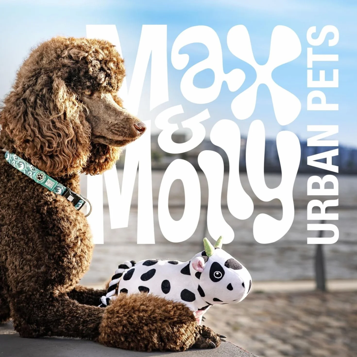 Max & Molly Matrix 2.0 Ultra LED, Lampe LED pour harnais, laisse et collier de chien, Noir, Étanche, Rechargeable par USB, Attache lumineuse pour chien pour plus de sécurité