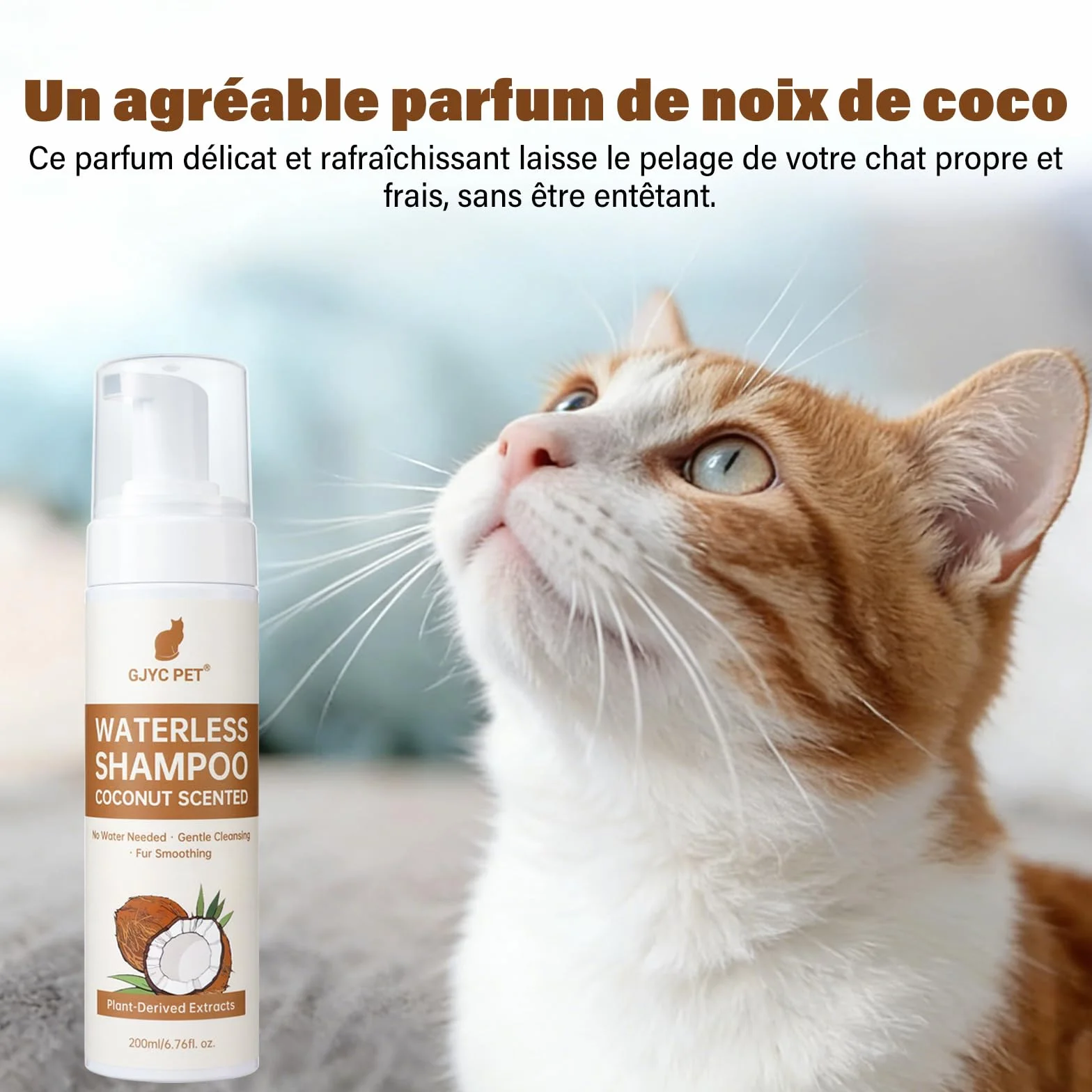 Shampoing Sec pour Chats 200 ML Parfum Noix de Coco pH Neutre