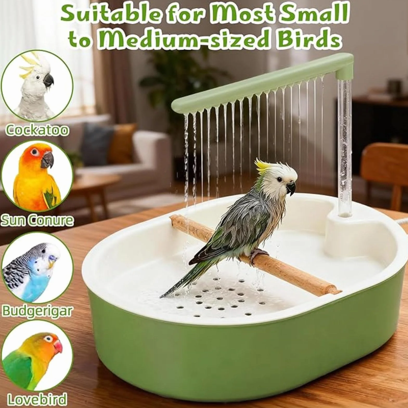Douche pour Perroquet Automatique avec Eau en Circulation, Pompe Silencieuse et Chargement USB
