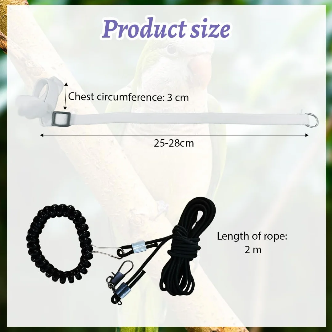 Harnais Perroquet 5 Pièces Harnais Pour Perroquet Ajustable Avec Laisse Vol Entraînement Sécurité Petit Oiseau Calopsitte Accessoire Aviaire Corde Réglable Pour Animaux