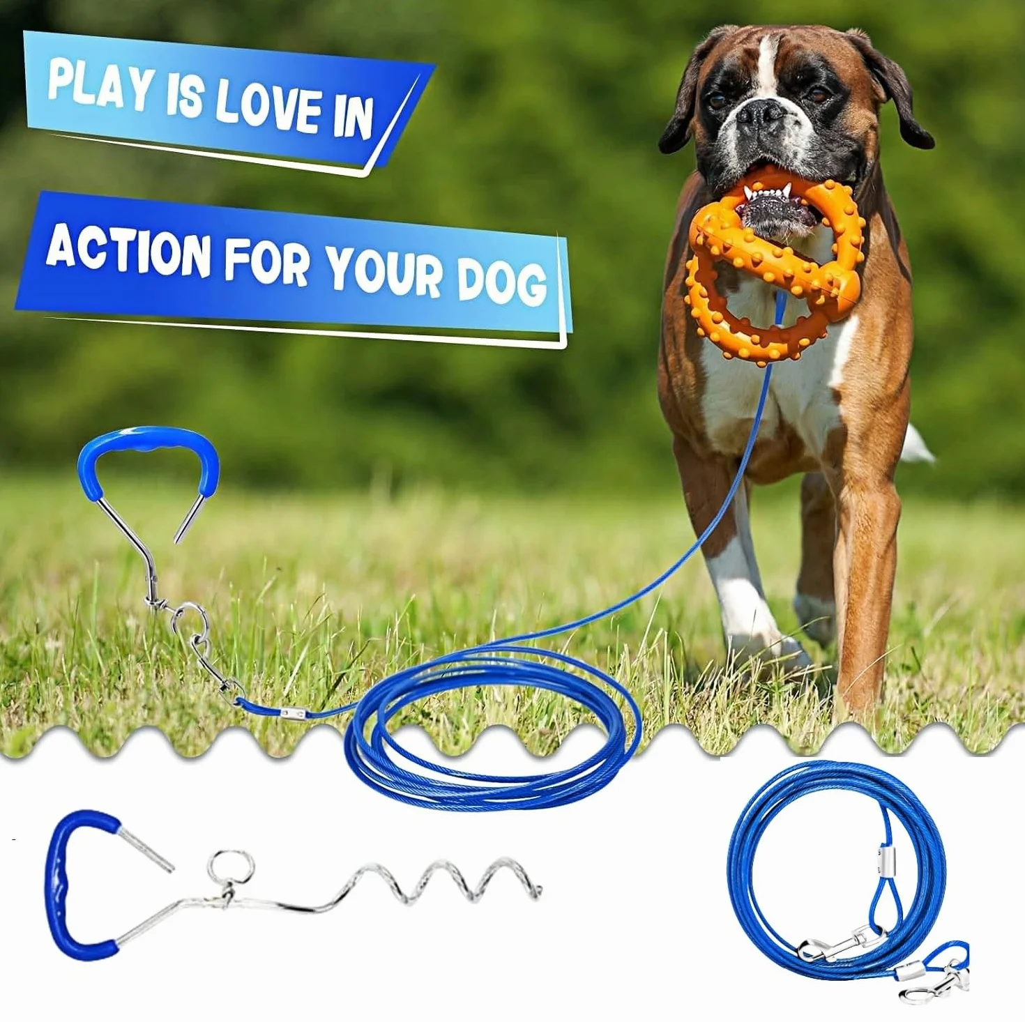 Piquet de pose pour chien avec laisse de 3 m, ancrage solaire pour extérieur, bleu