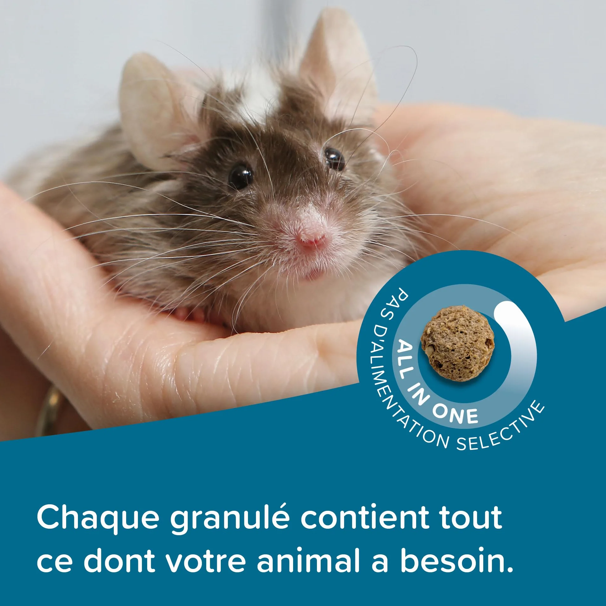 BEAPHAR Care+ Alimentation Super Premium extrudée pour Gerbille et Souris Granulés Tout-en-Un 500g
