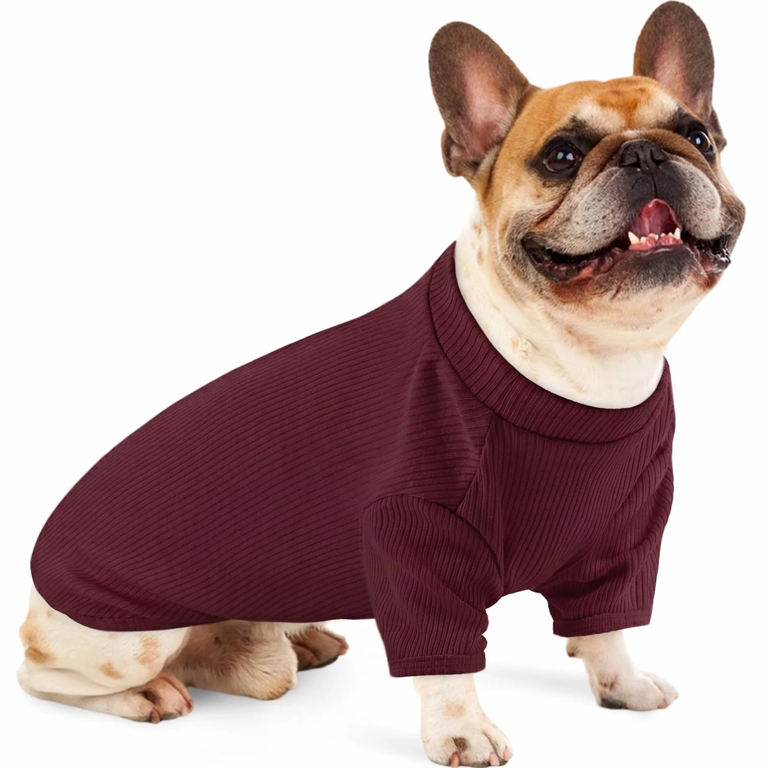 Pull en tricot pour chien L - T-shirt léger pour animal de compagnie Beagle Schnauzer miniature Border Terrier