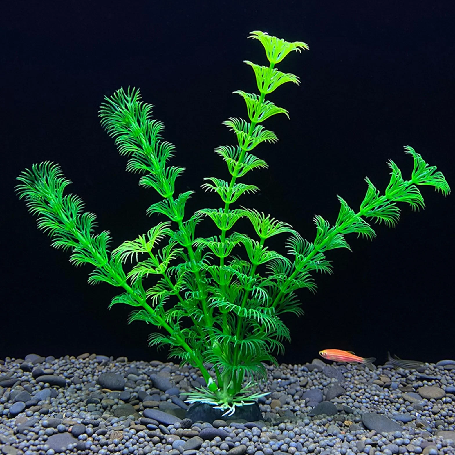 Haiki Plante aquatique artificielle pour aquarium