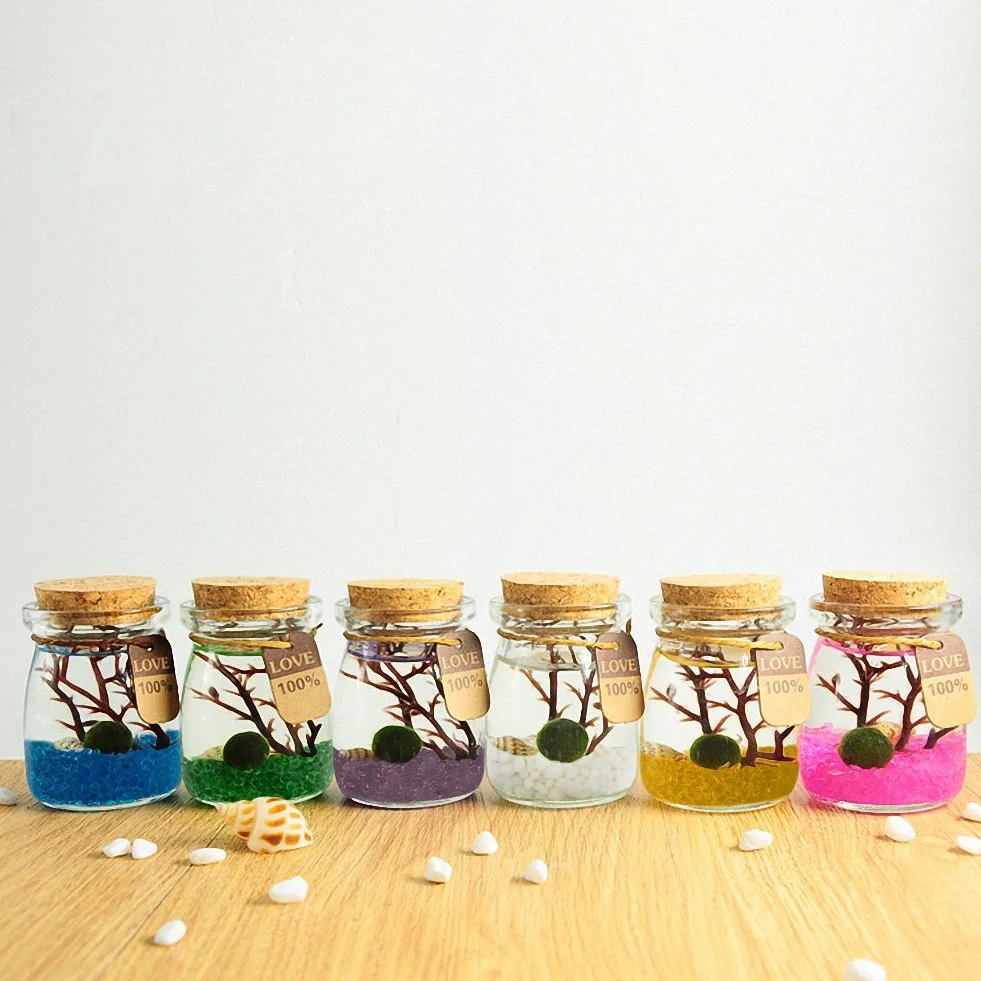 OMEM Marimo Ball Aquarium Kit Blanc Décoration Bureau Maison Cadeaux