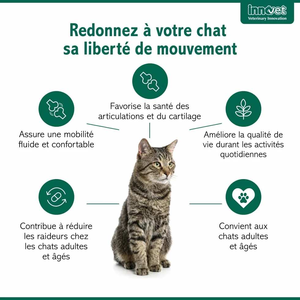Innovet Condrostress Cat Complément Alimentaire Articulaire pour Chats Adultes et Âgés, Confort Articulaire, Mobilité, Collagène, Chondroïtine, Acide Hyaluronique - 30 gélules